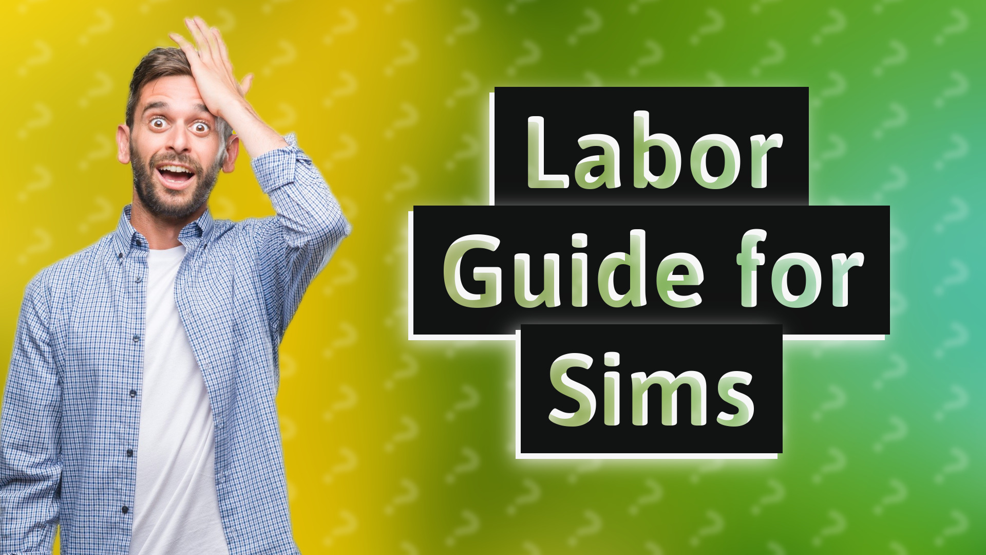 Labor Guide for Sims