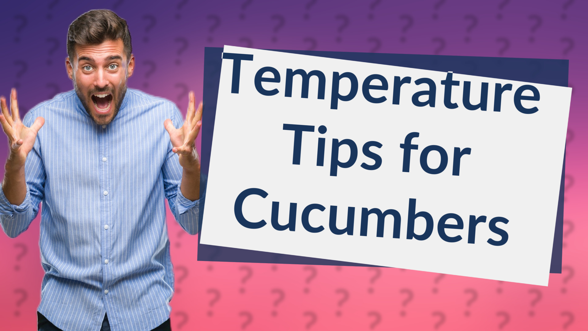 Temperature Tips for Cucumbers