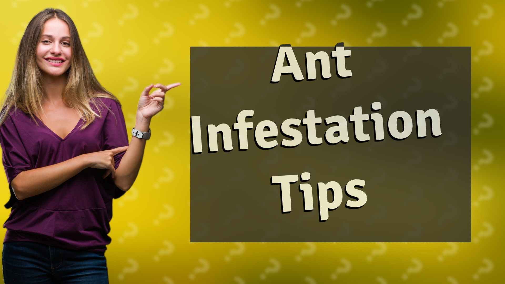 Ant Infestation Tips