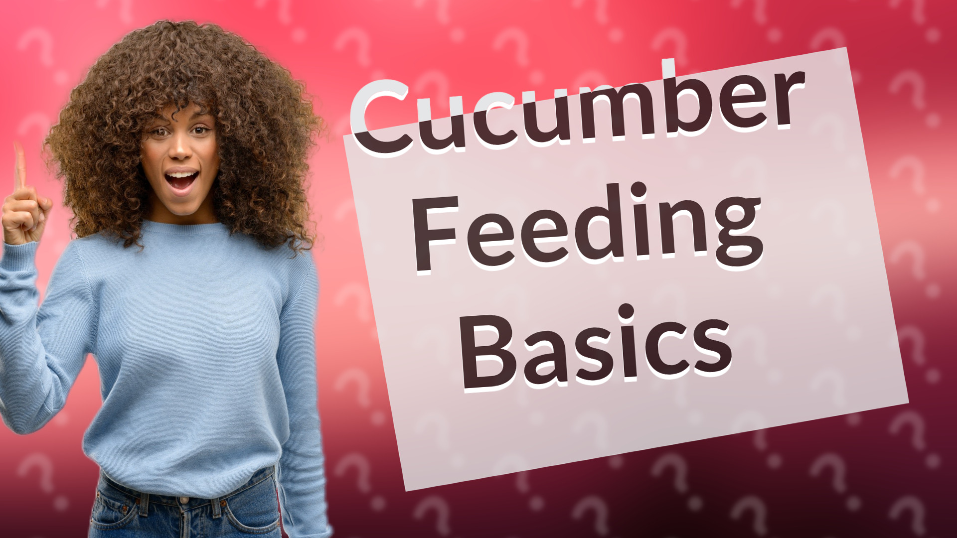 Cucumber Feeding Basics