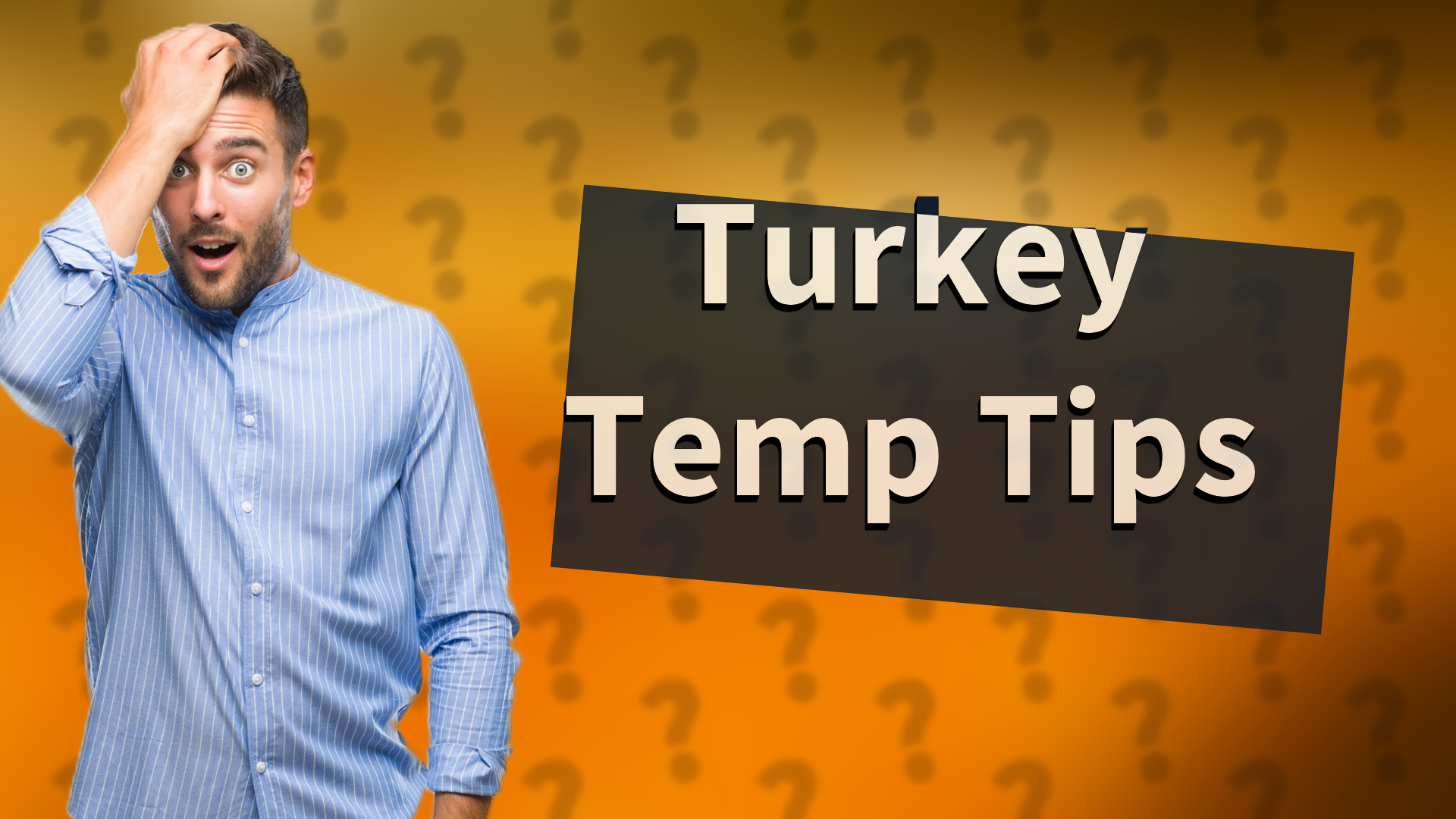 Turkey Temp Tips