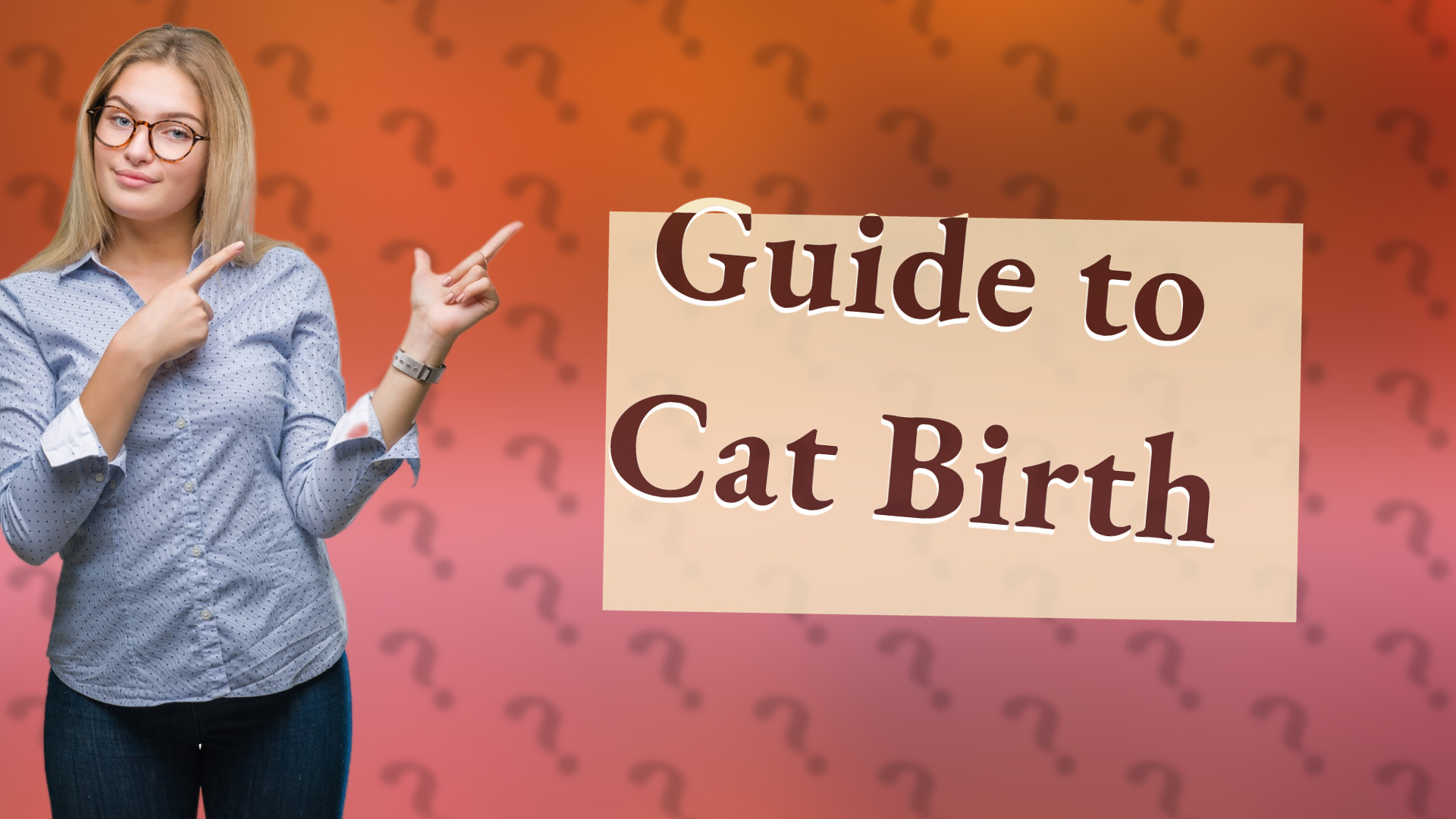 Guide to Cat Birth