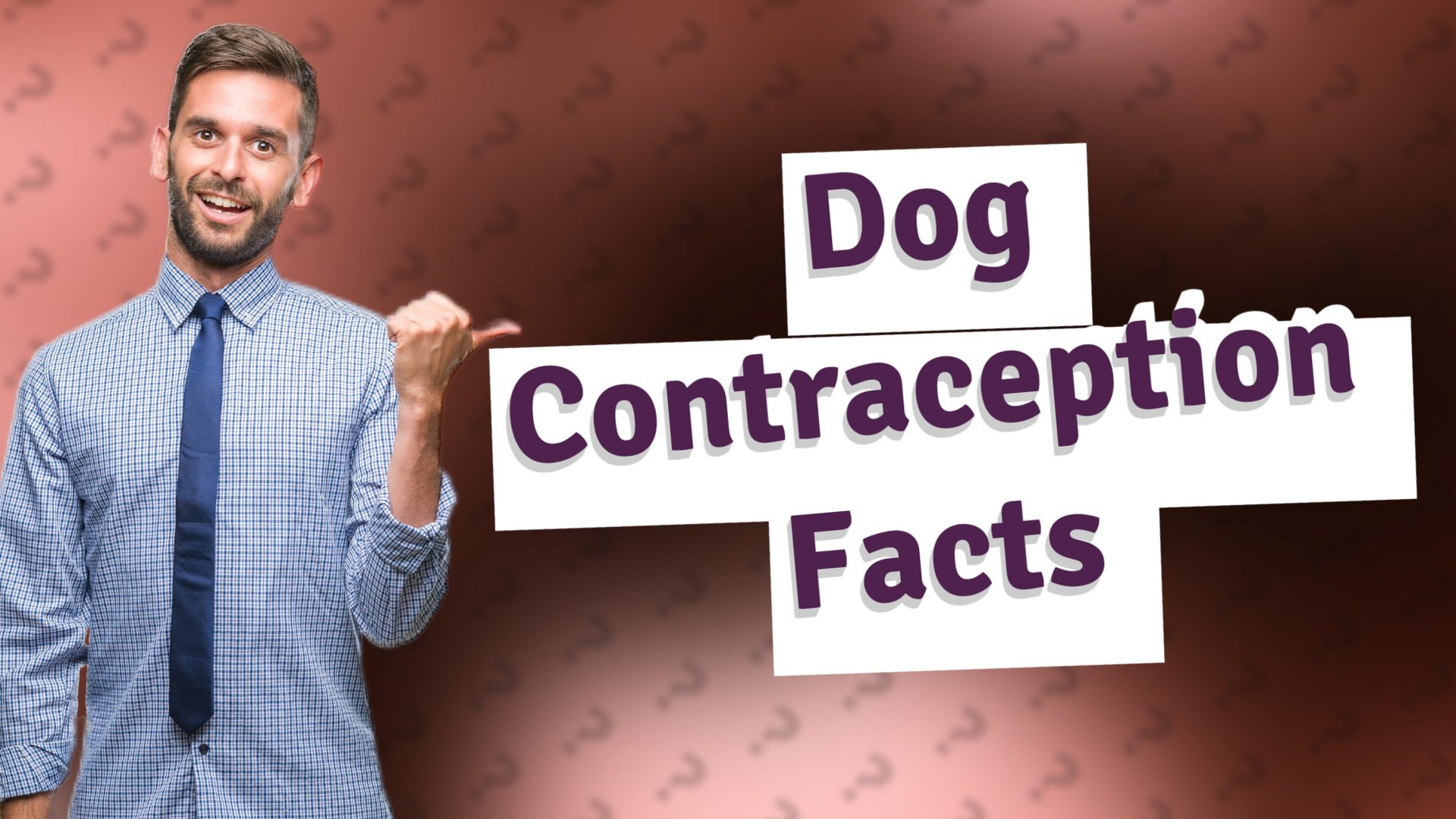 Dog Contraception Facts