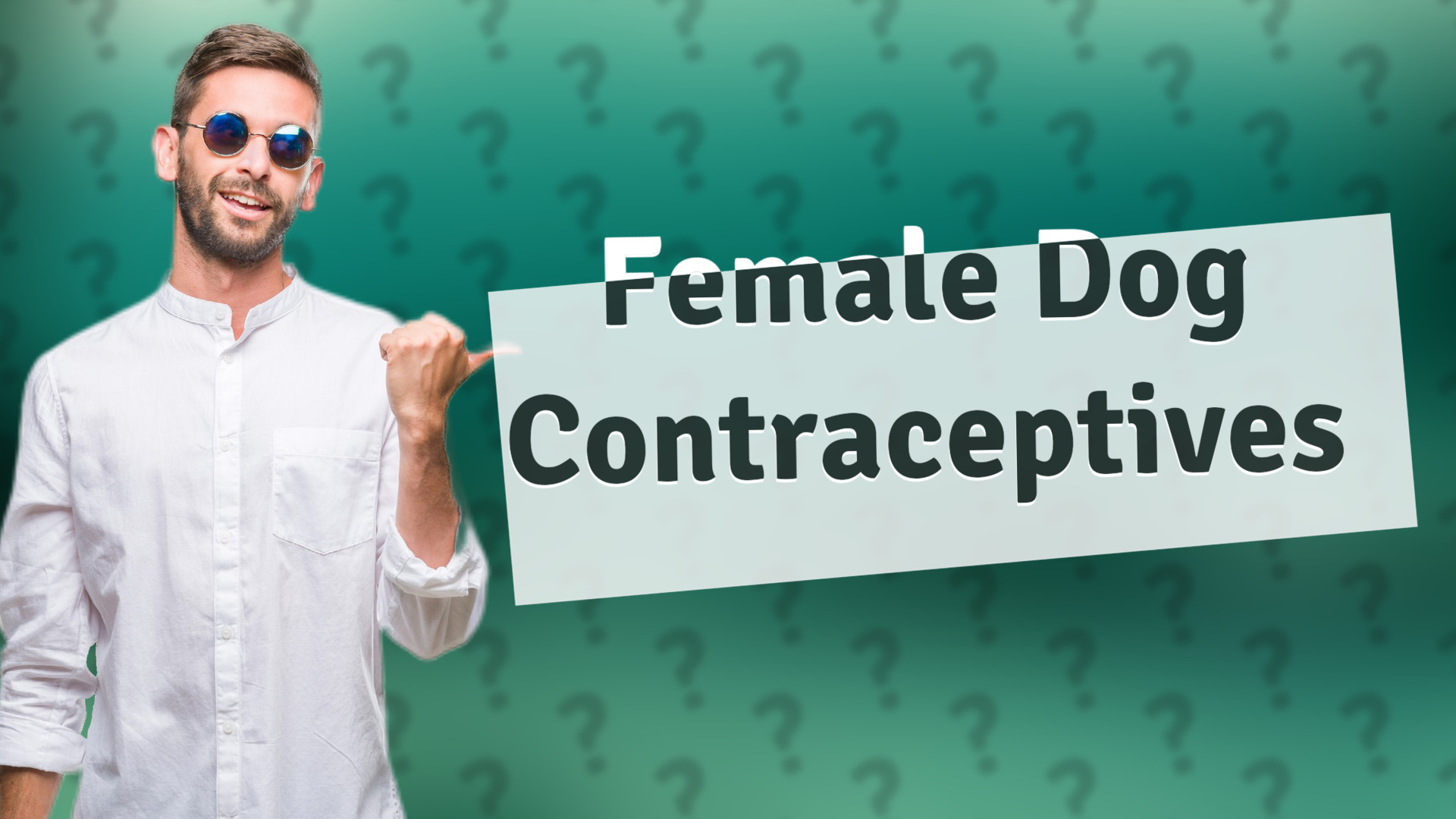 Female Dog Contraceptives
