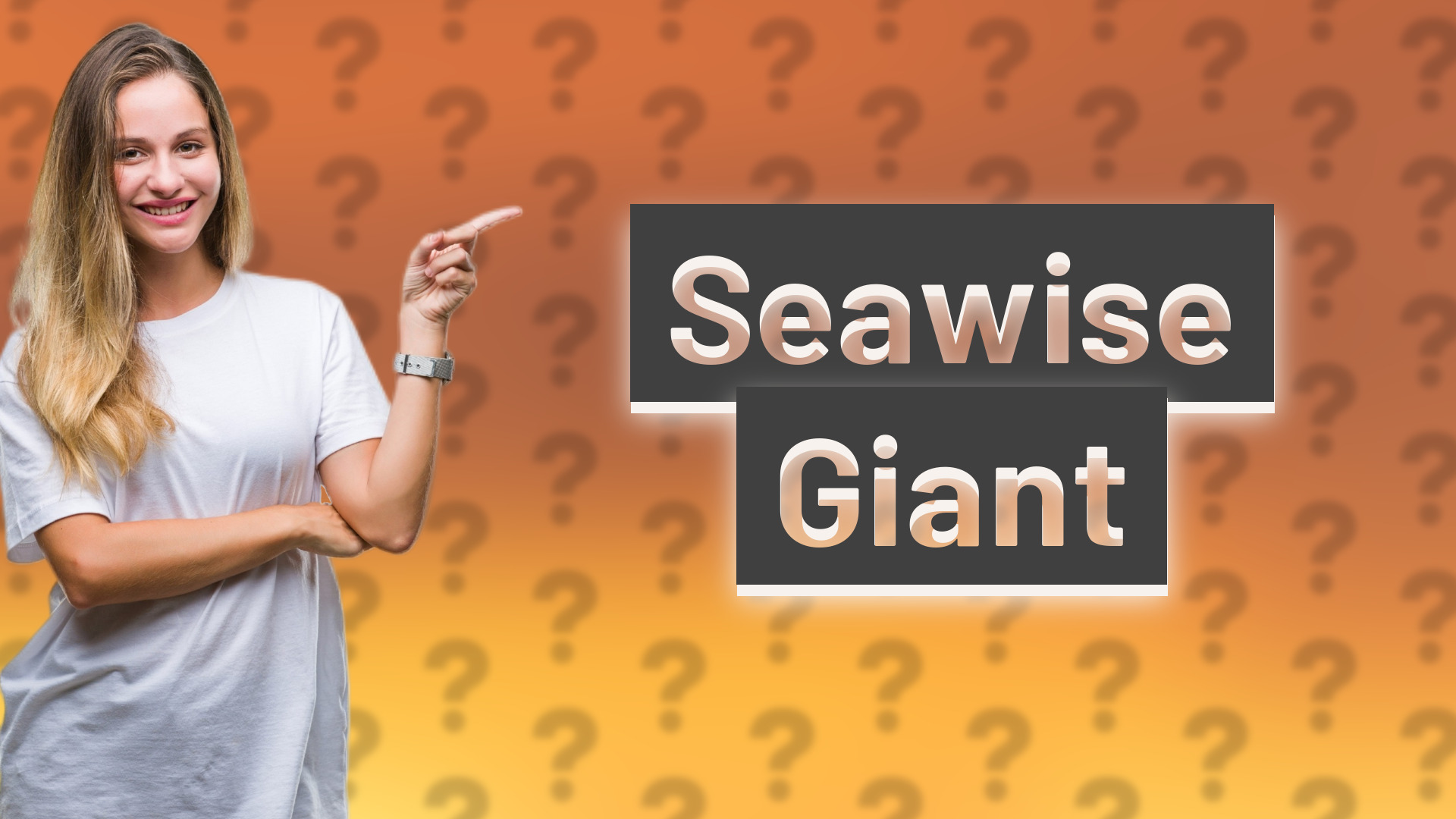 Seawise Giant