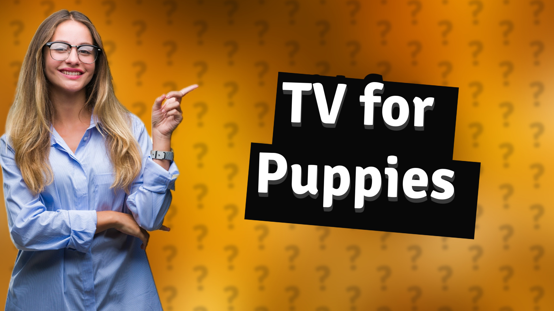 TV for Puppies