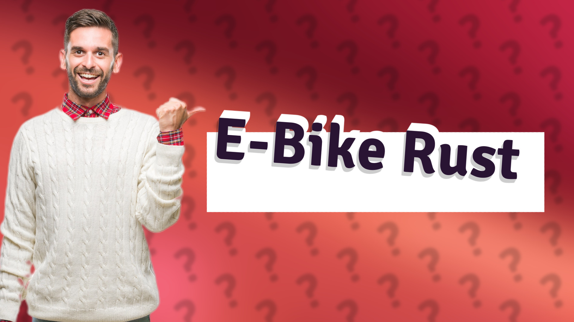 E-Bike Rust