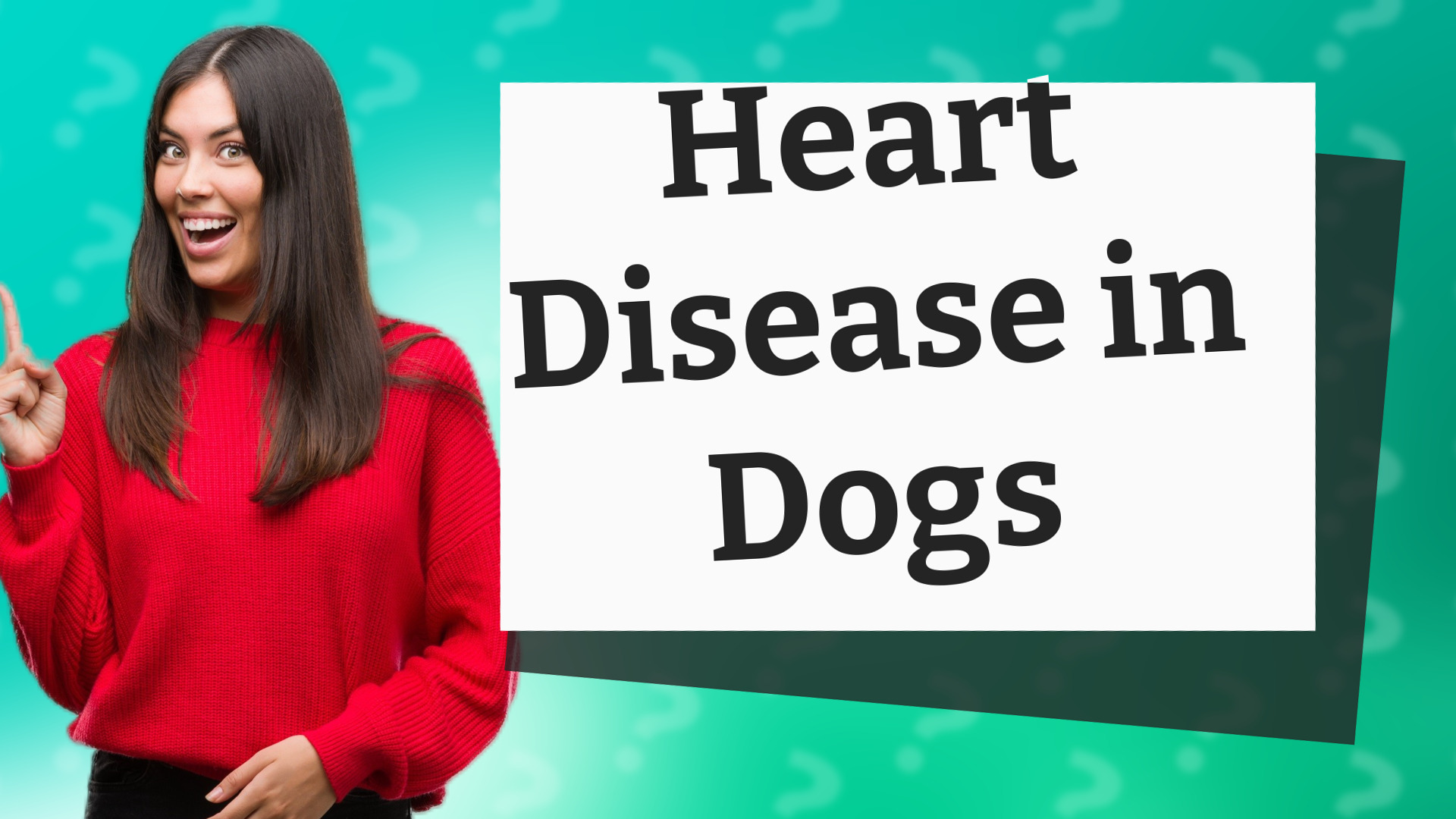 Heart Disease in Dogs