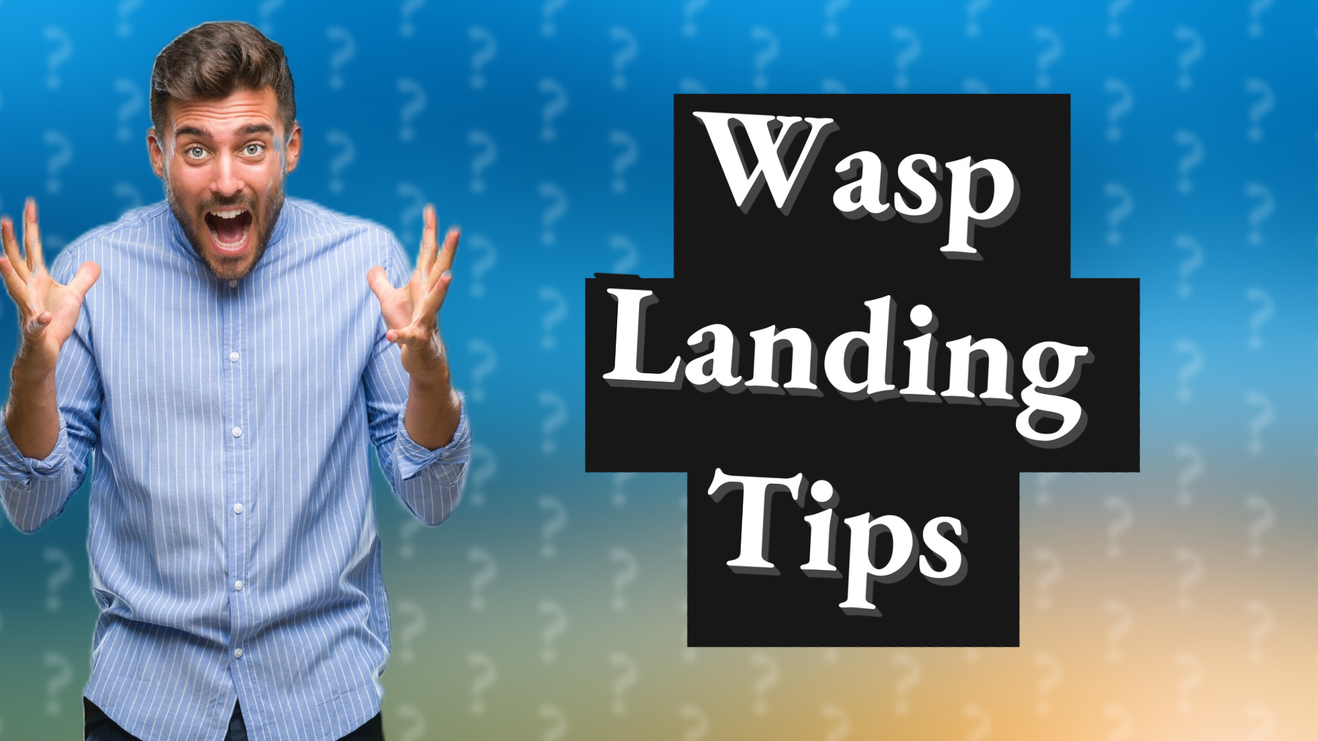 Wasp Landing Tips