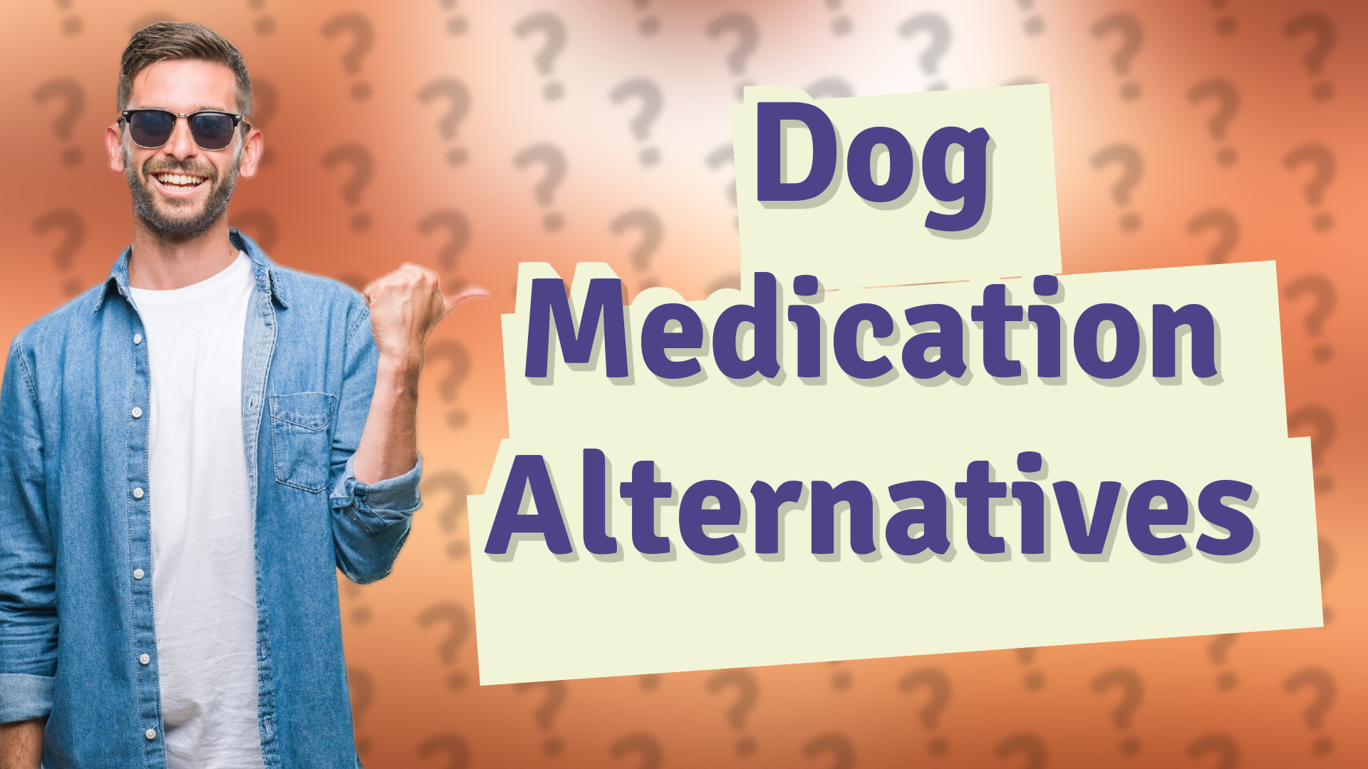 Dog Medication Alternatives