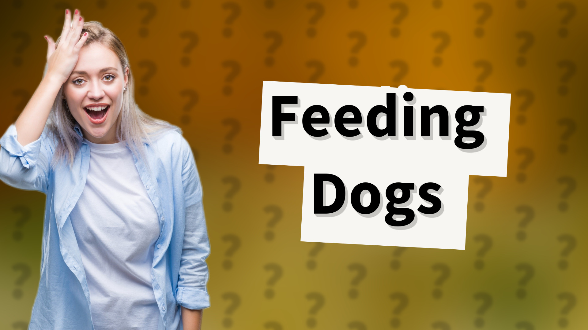 Feeding Dogs