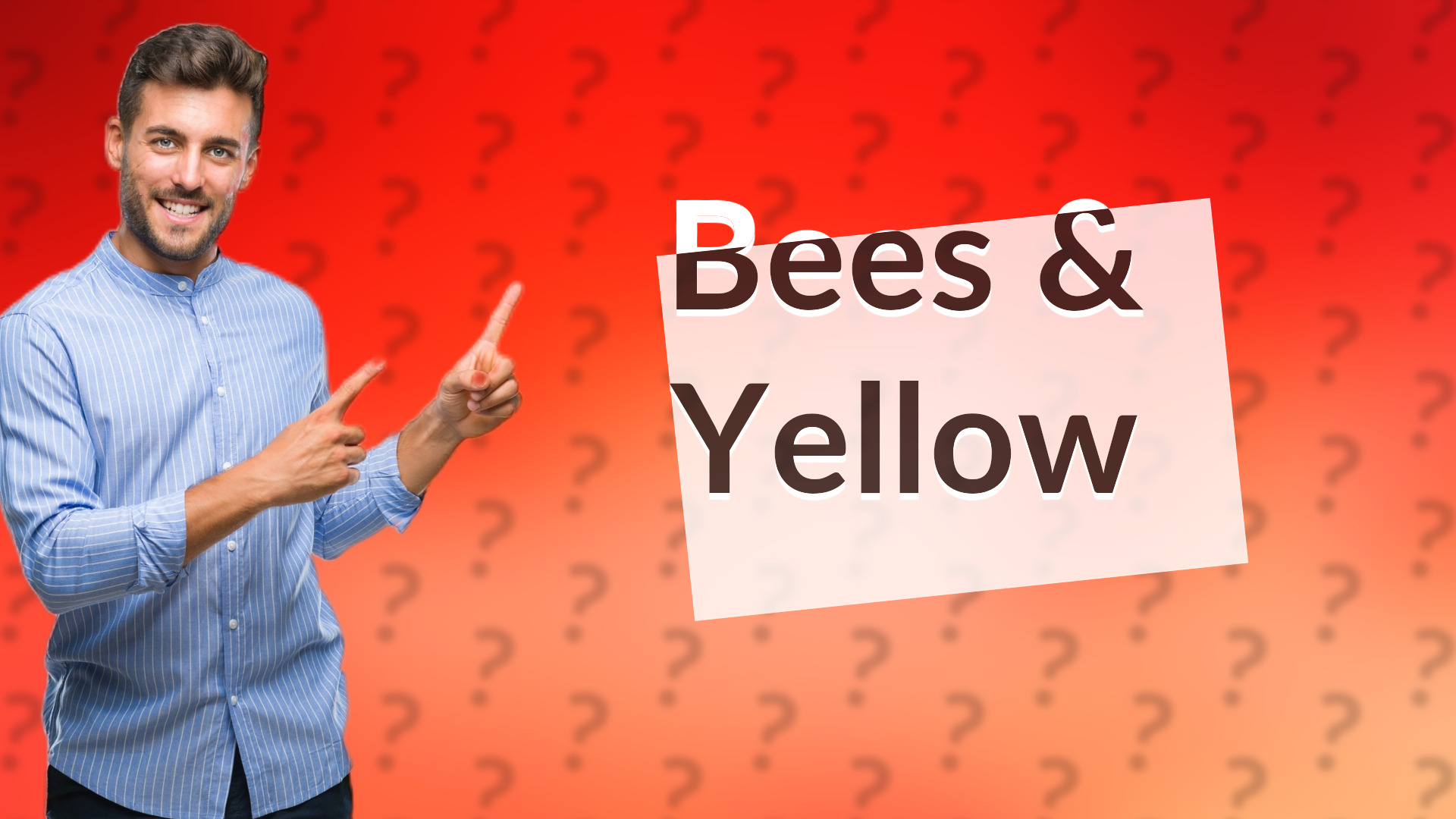 Bees & Yellow