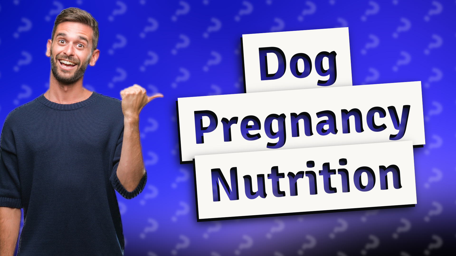 Dog Pregnancy Nutrition