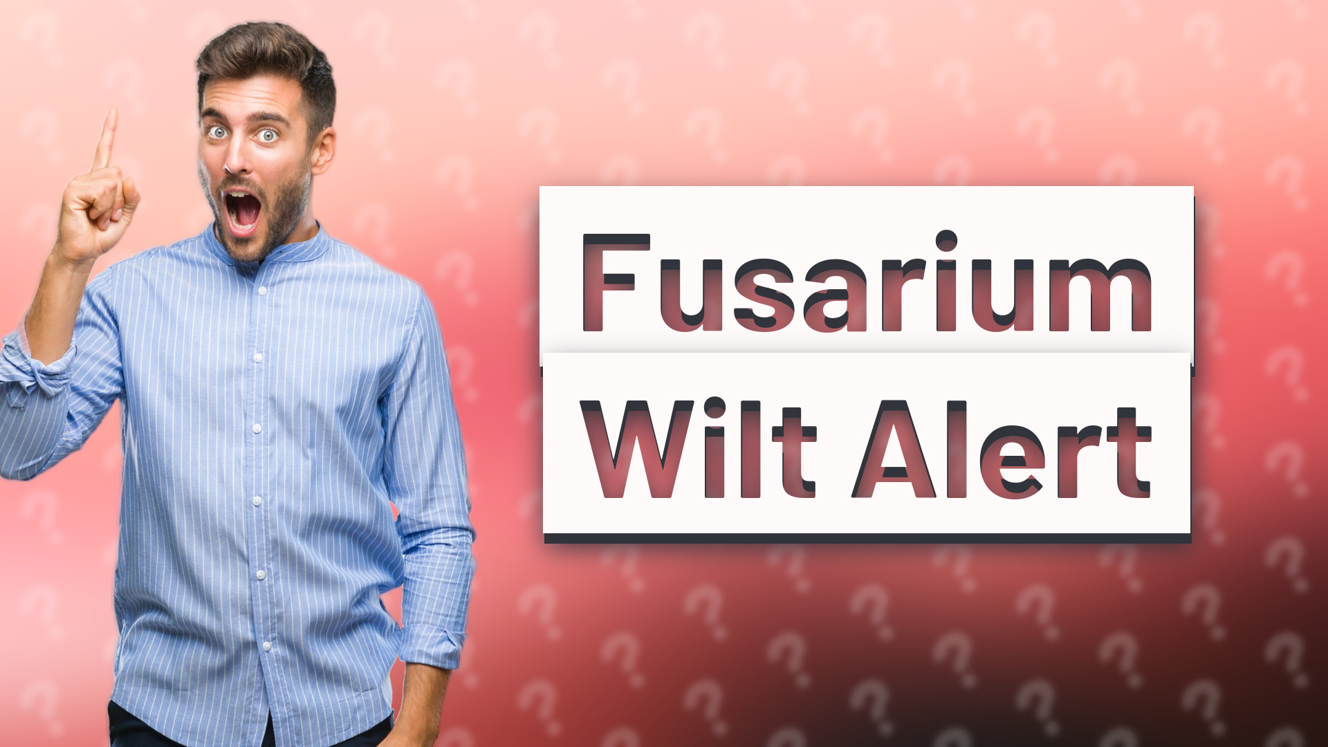 Fusarium Wilt Alert