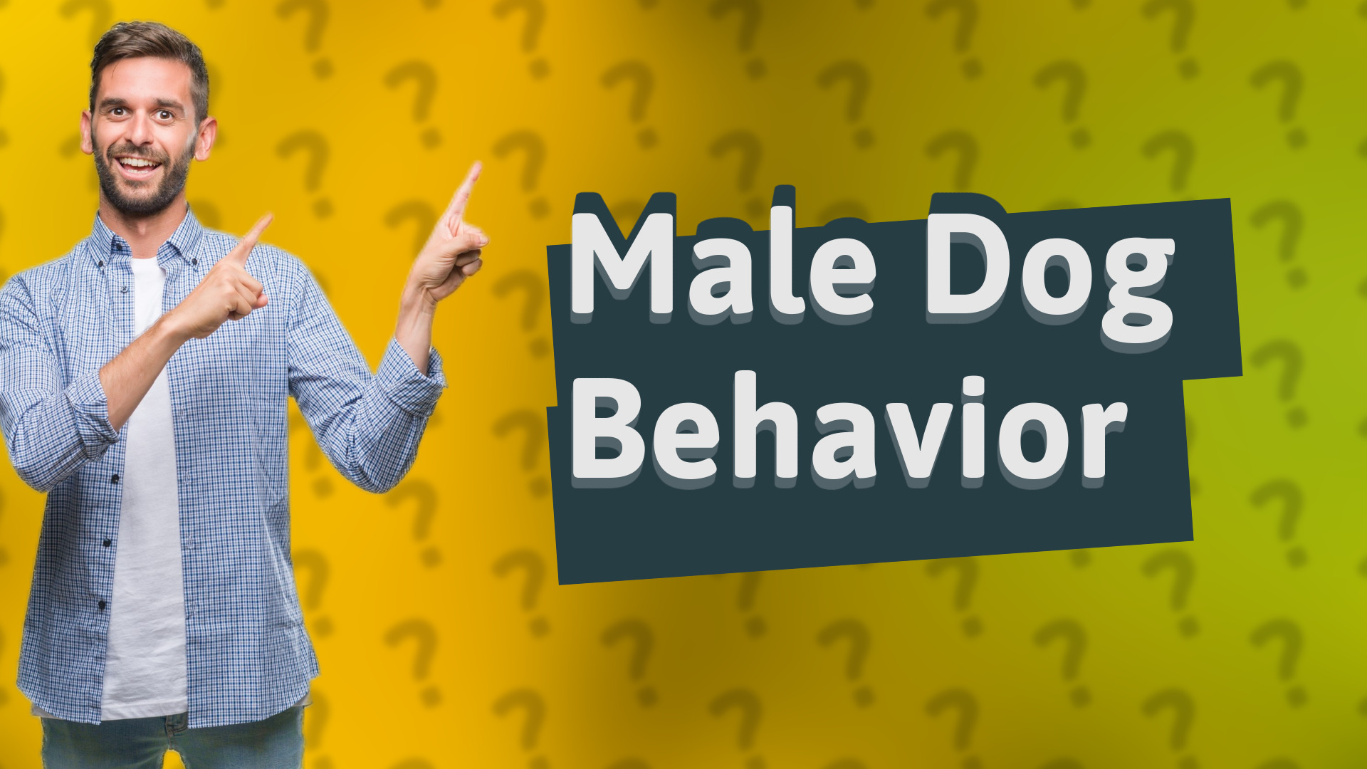 Male Dog Behavior