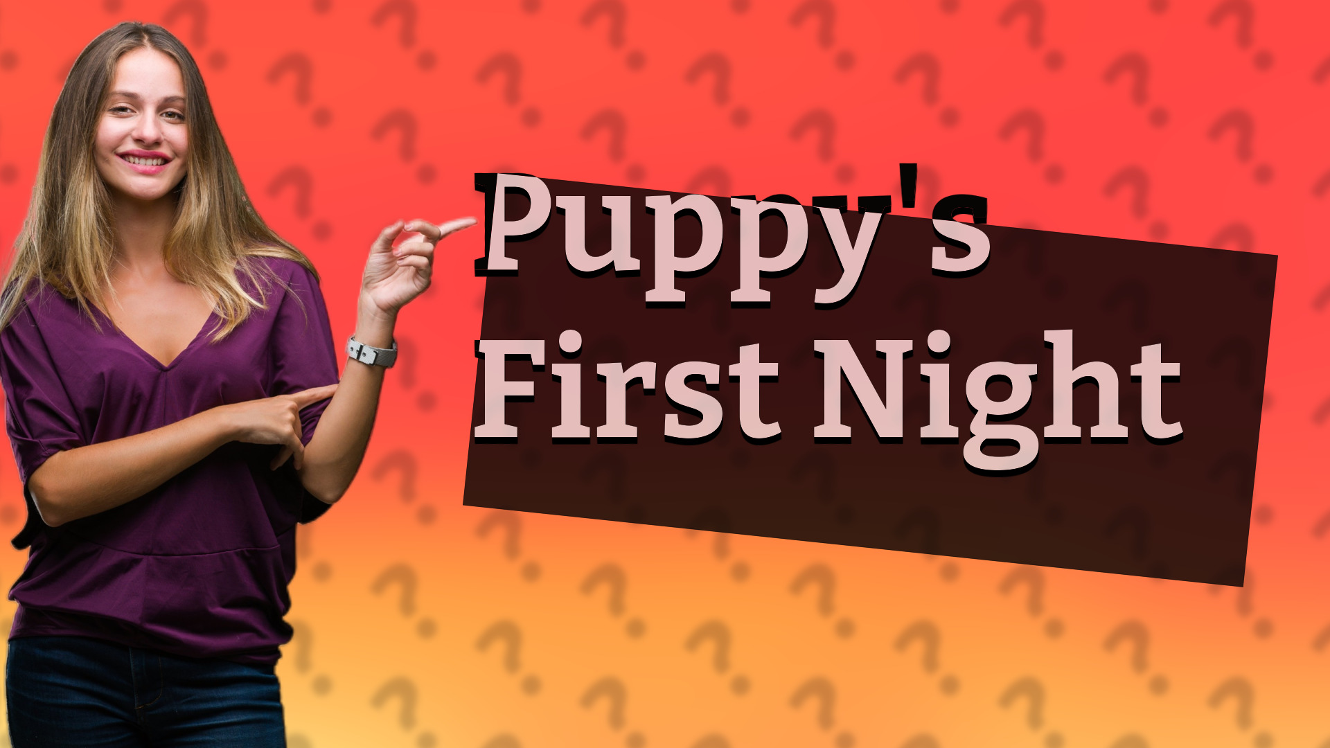 Puppy's First Night