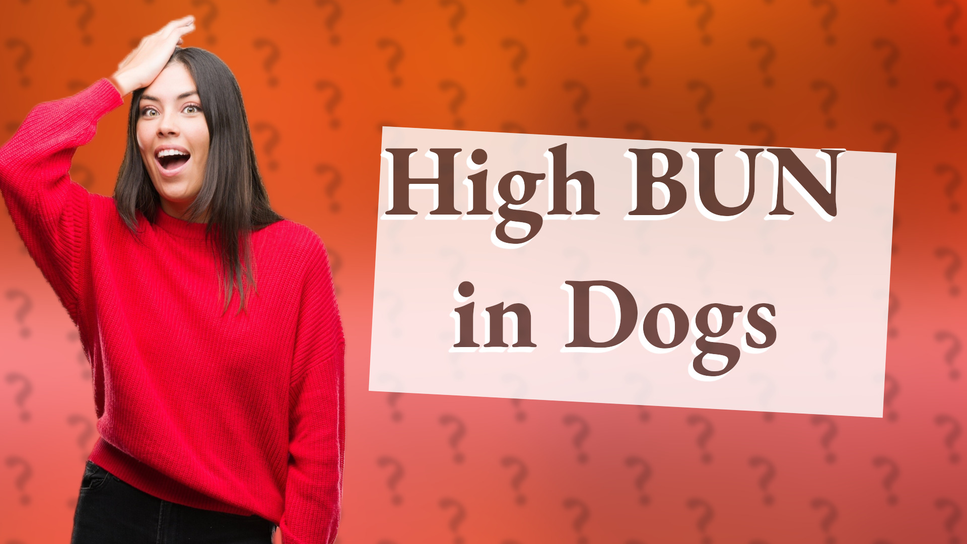 High BUN in Dogs