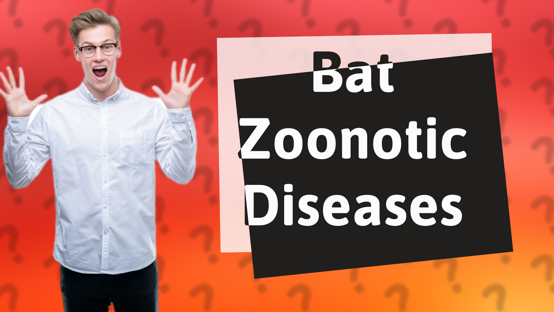 Bat Zoonotic Diseases