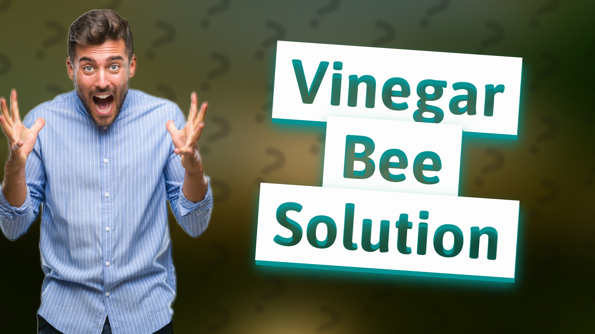 Vinegar Bee Solution