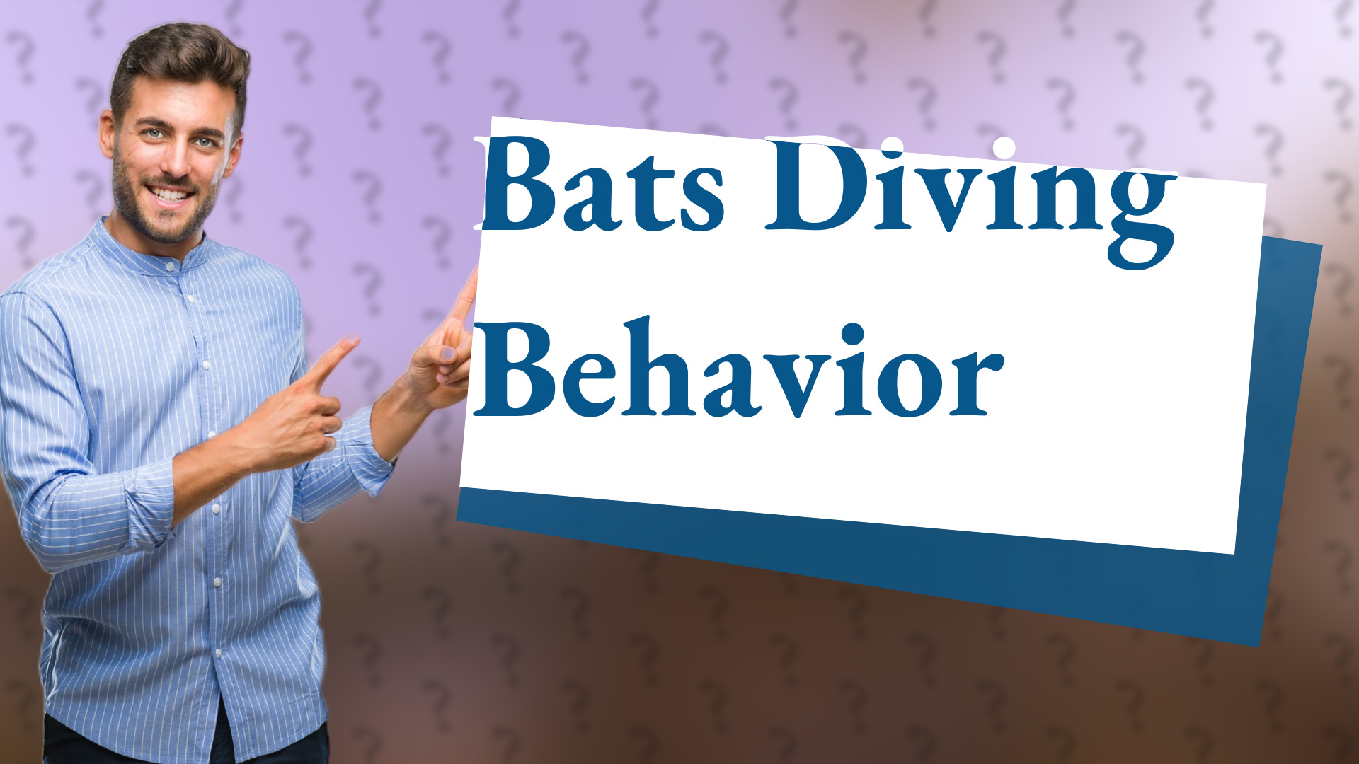 Bats Diving Behavior