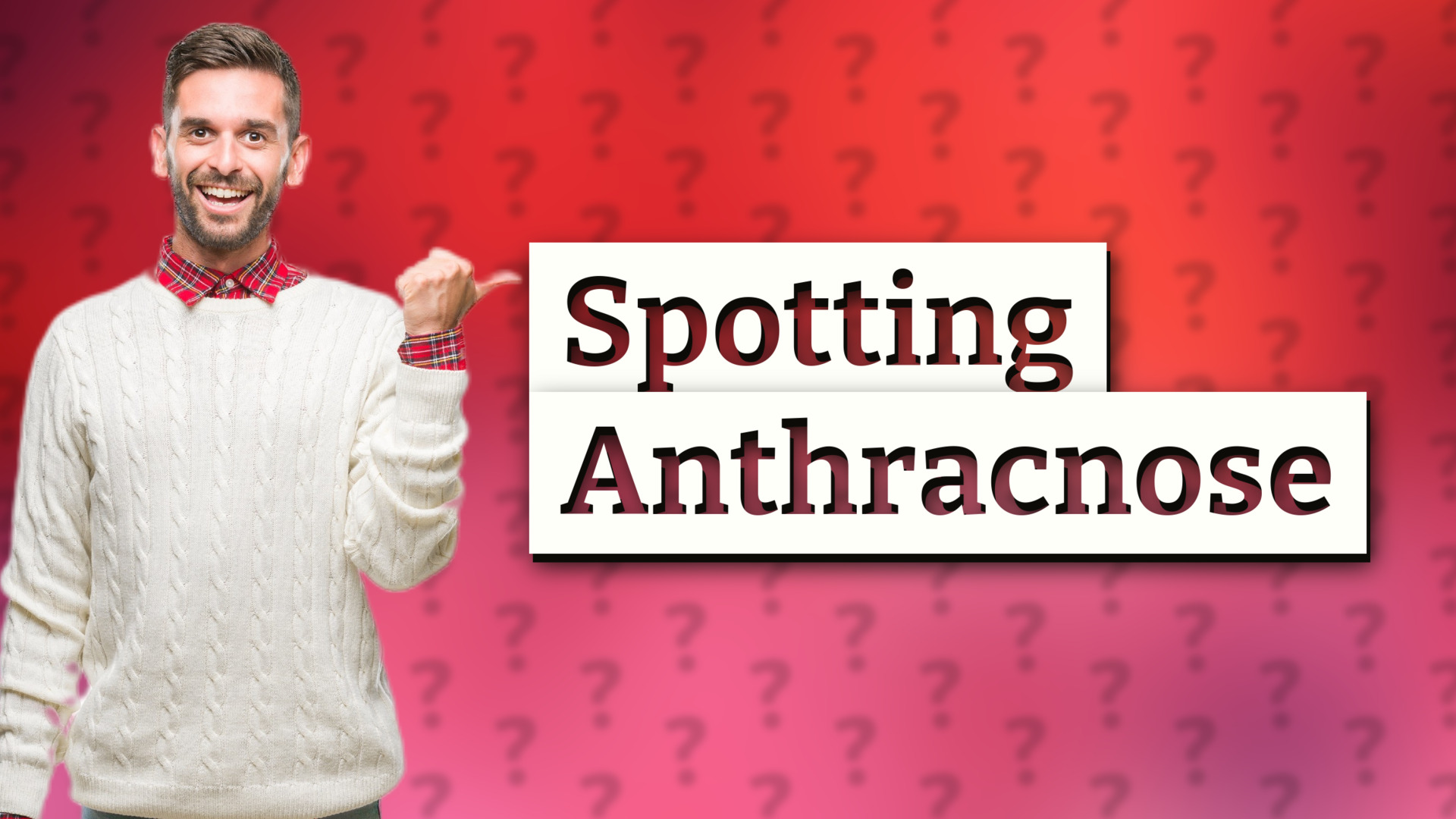 Spotting Anthracnose