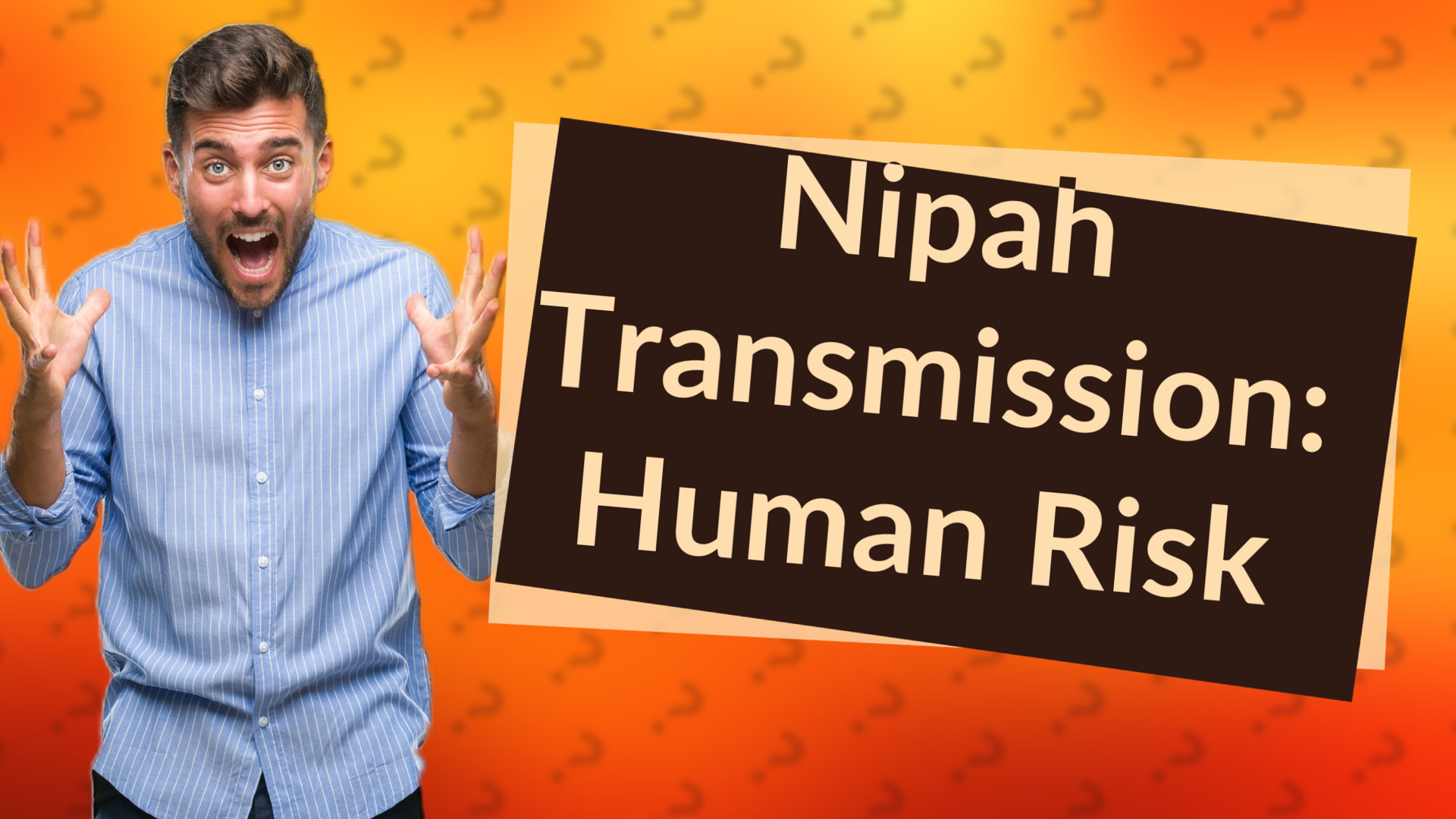 Nipah Transmission: Human Risk
