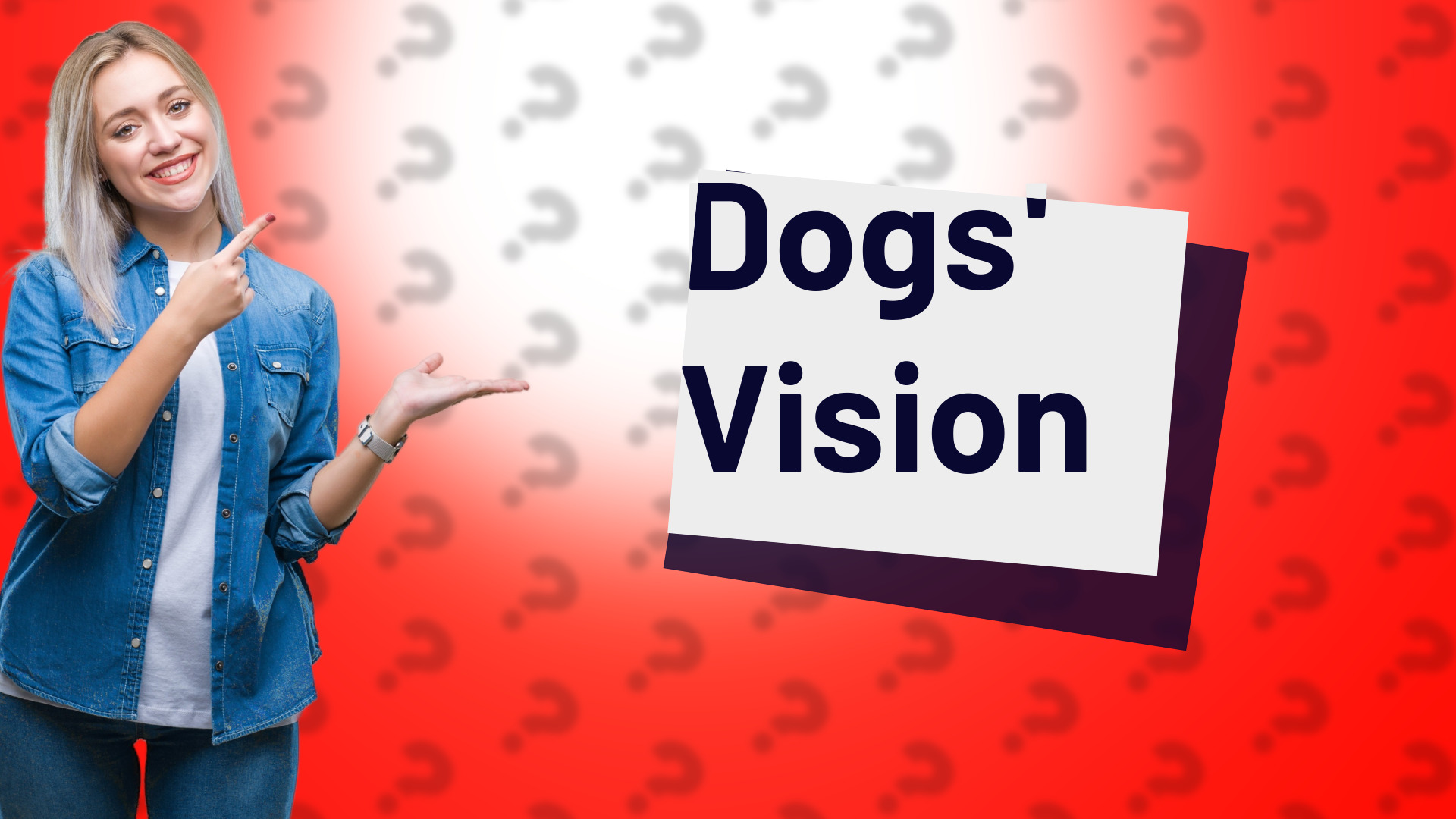 Dogs' Vision