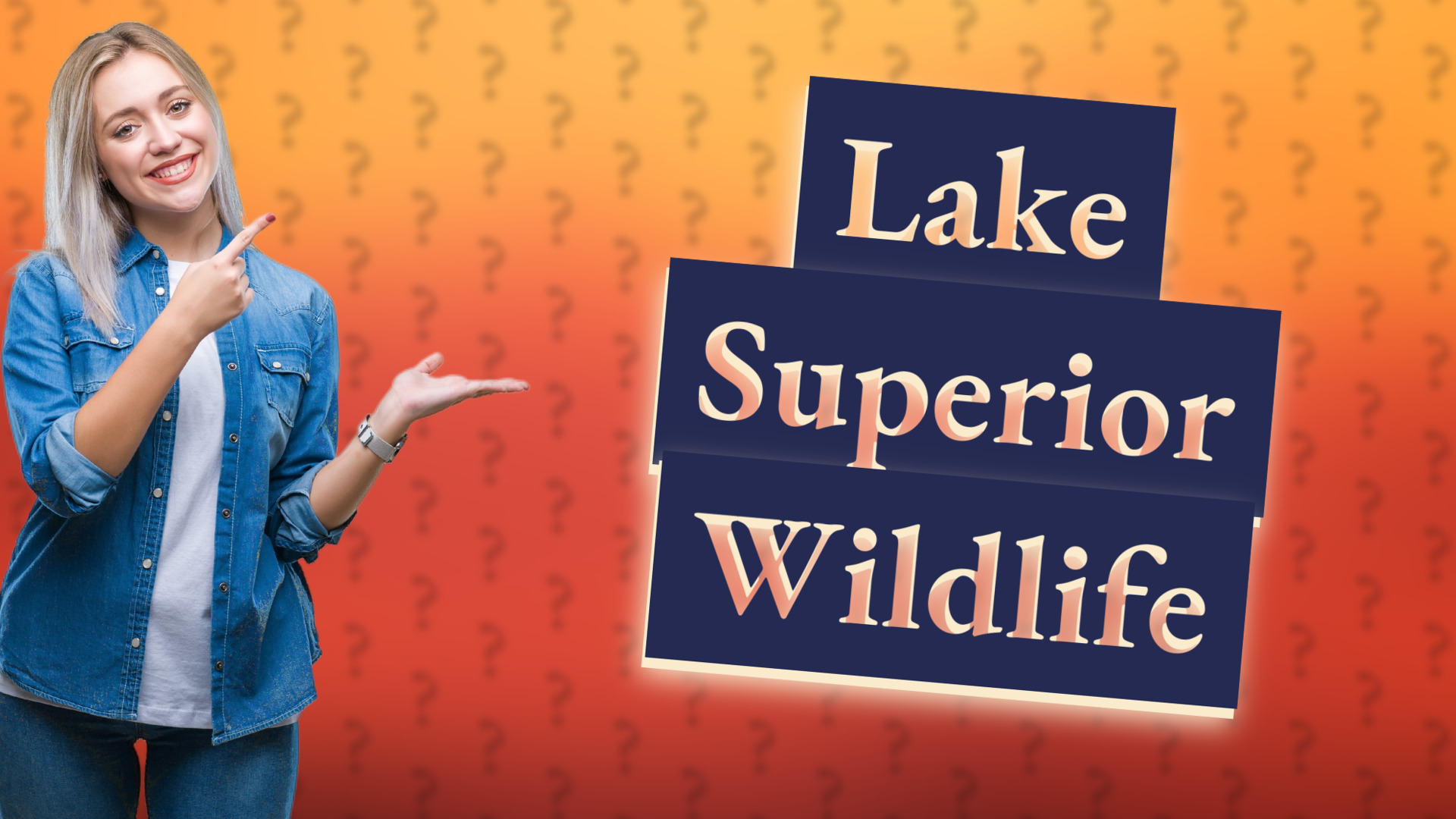 Lake Superior Wildlife