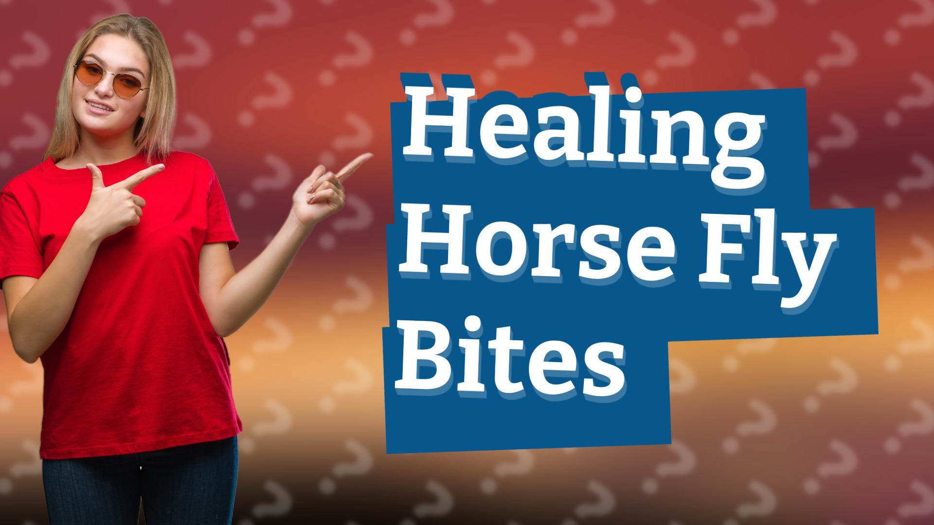 Healing Horse Fly Bites