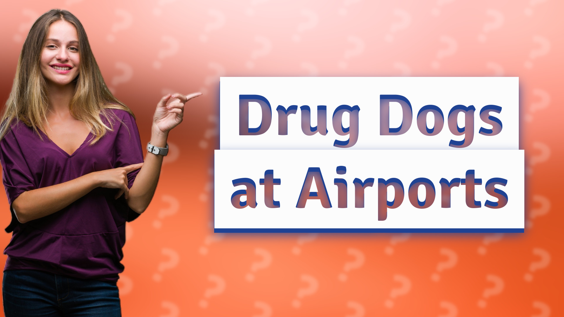Drug Dogs at Airports