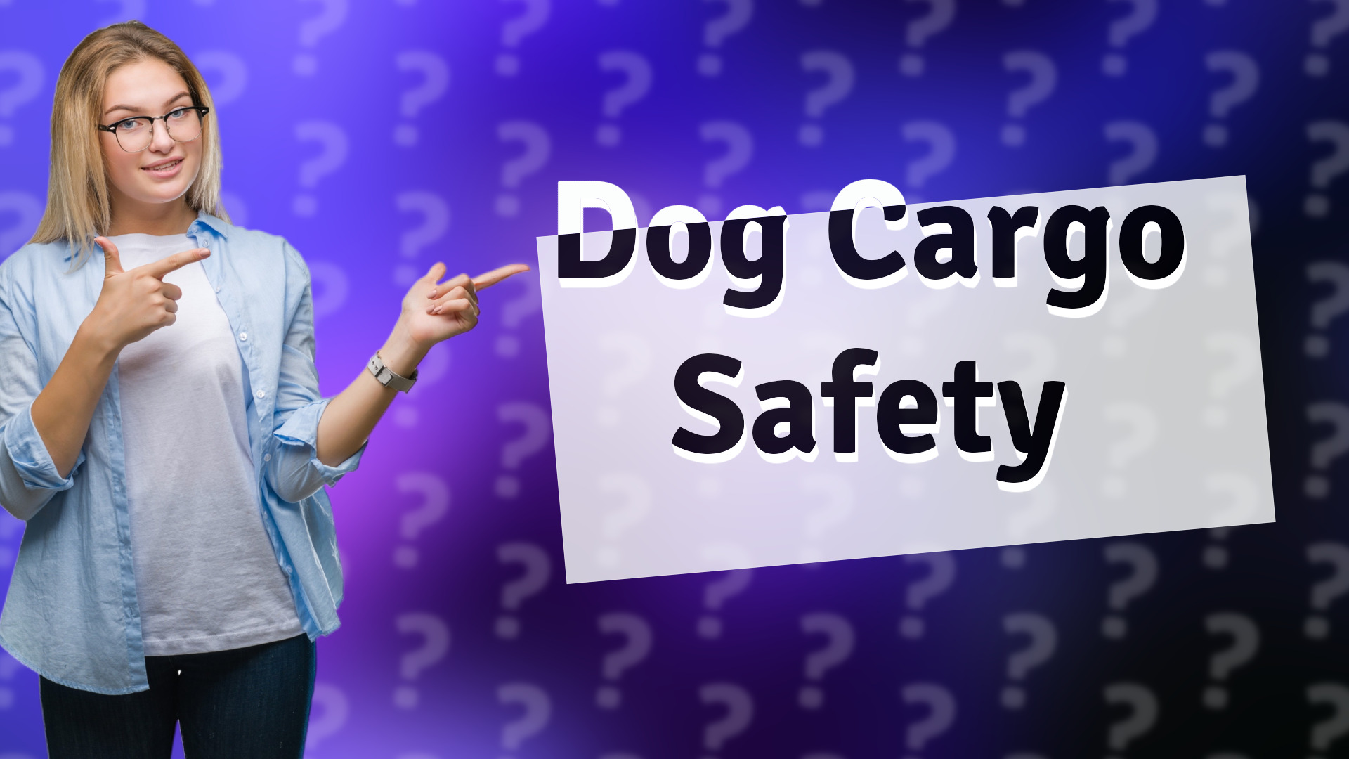 Dog Cargo Safety