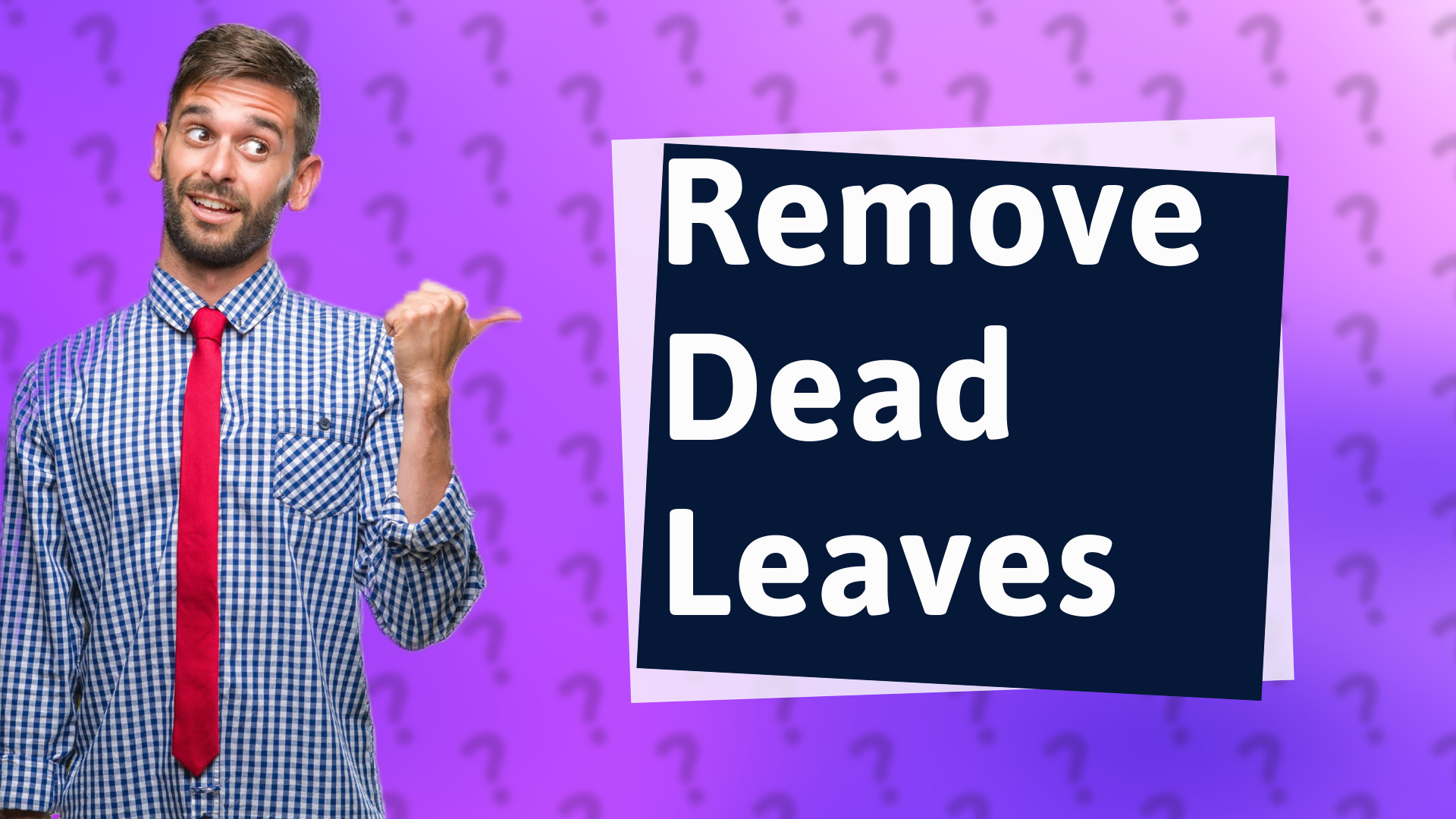 Remove Dead Leaves
