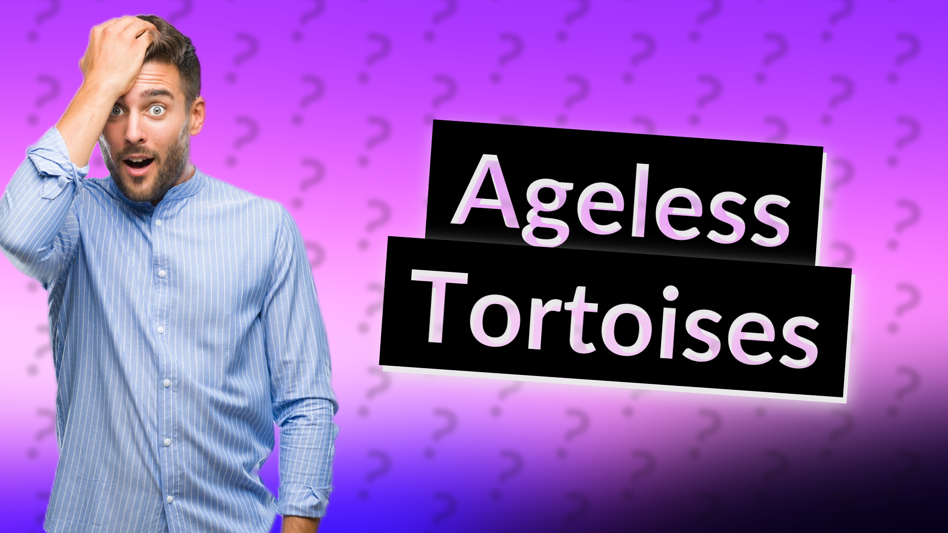 Ageless Tortoises