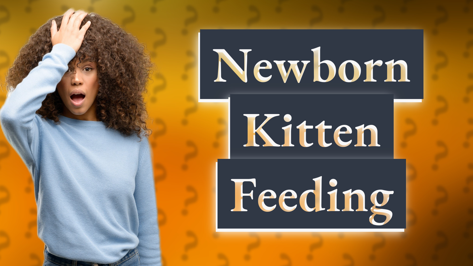 Newborn Kitten Feeding