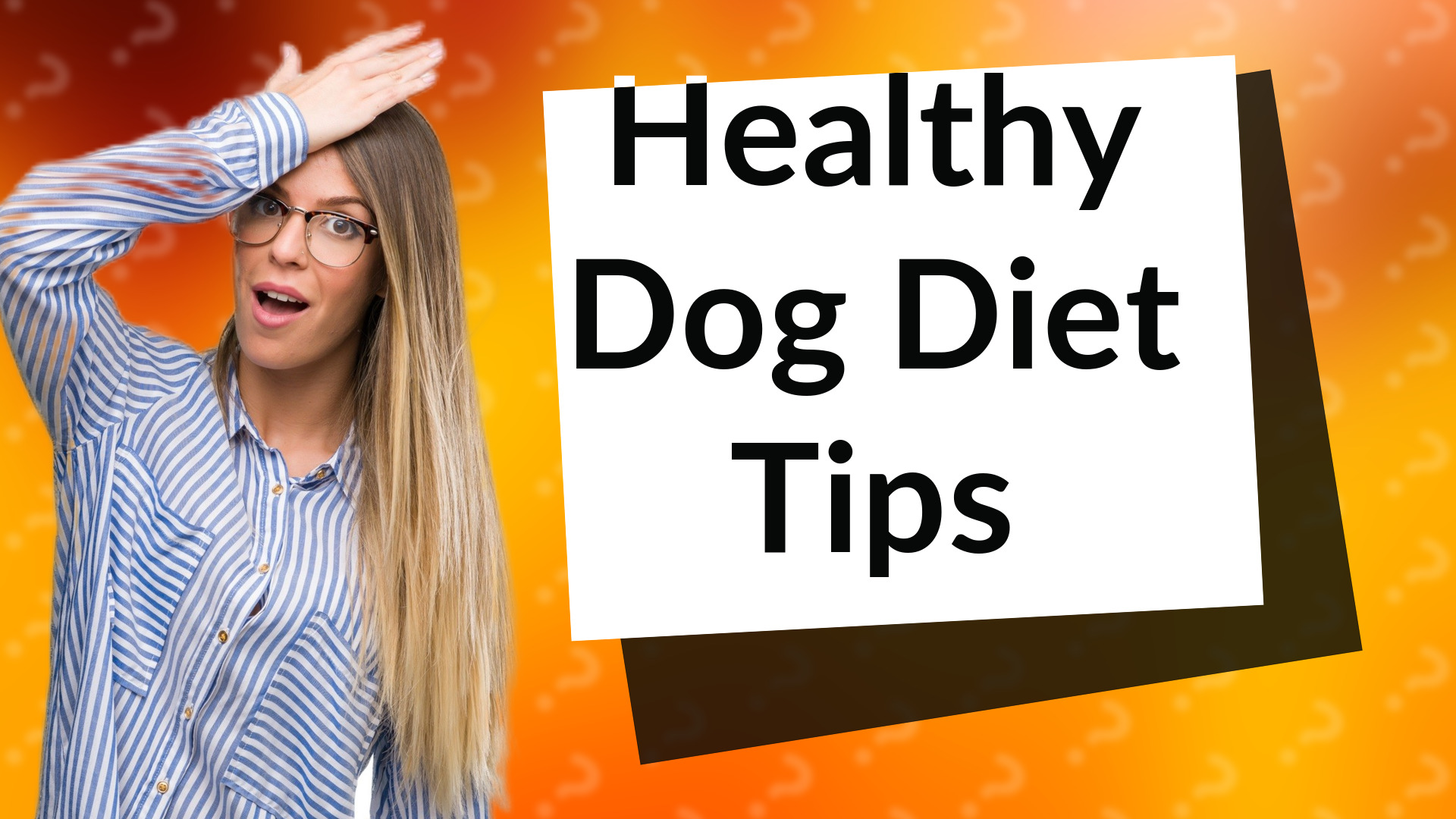 Healthy Dog Diet Tips