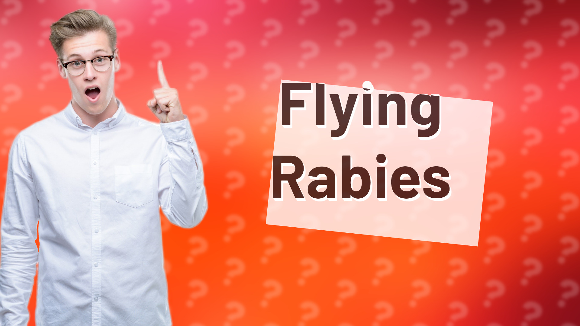 Flying Rabies