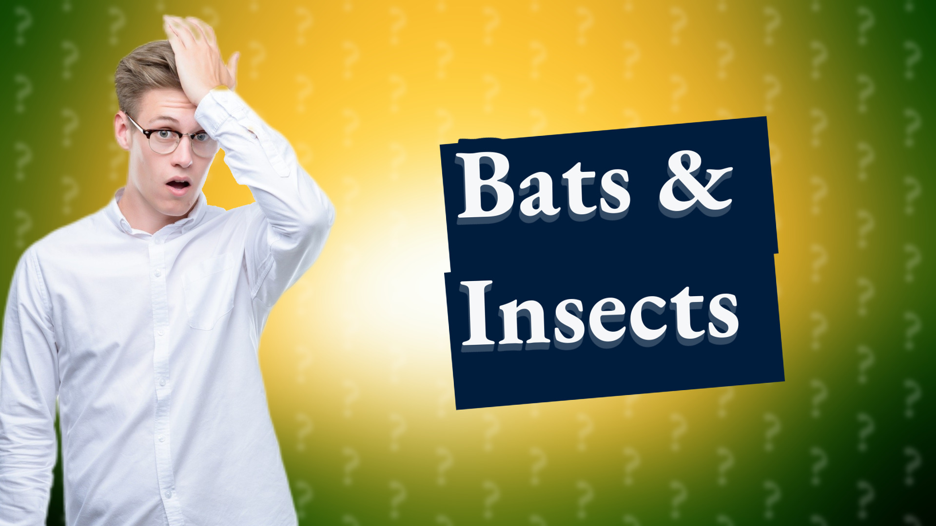 Bats & Insects