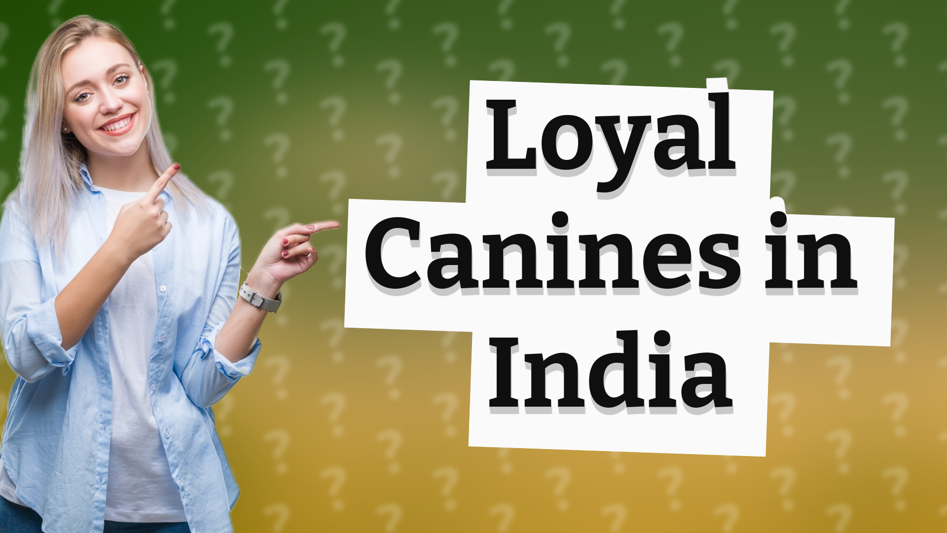 Loyal Canines in India