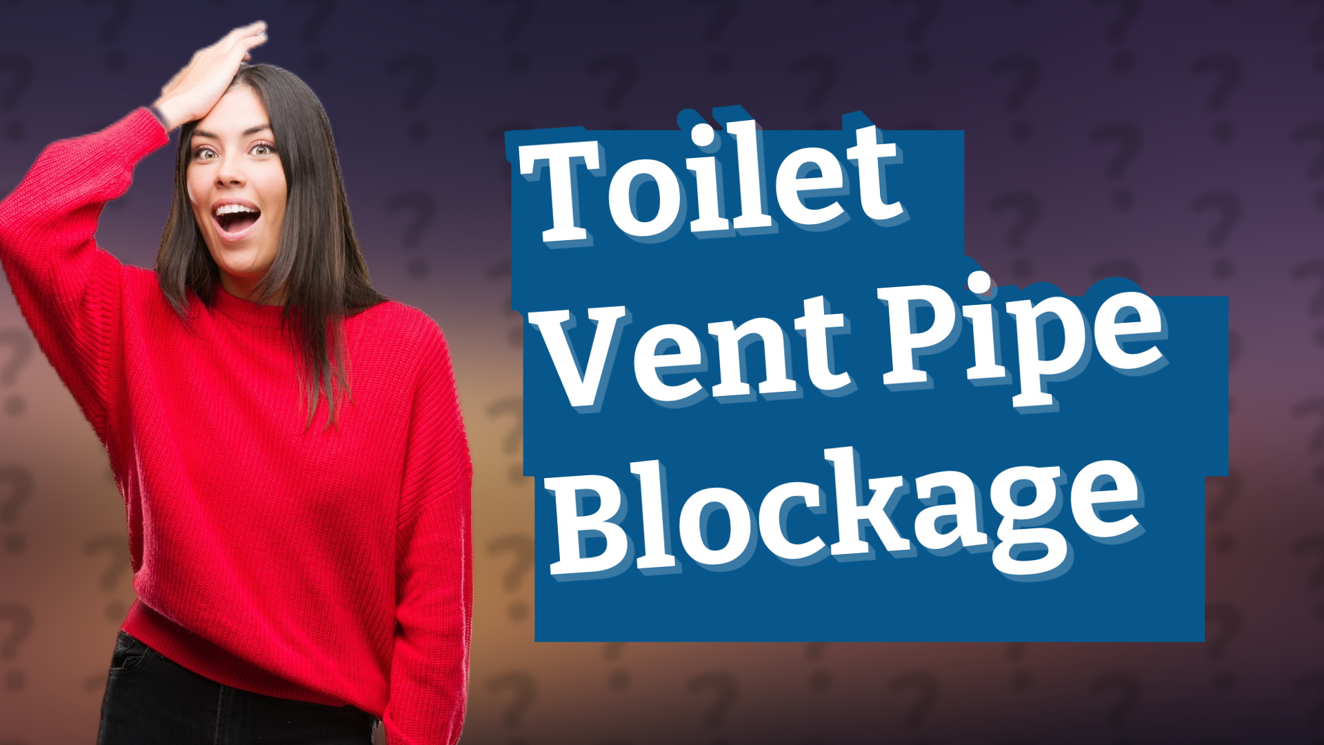 Toilet Vent Pipe Blockage