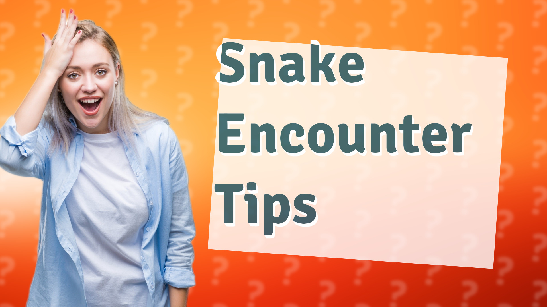 Snake Encounter Tips