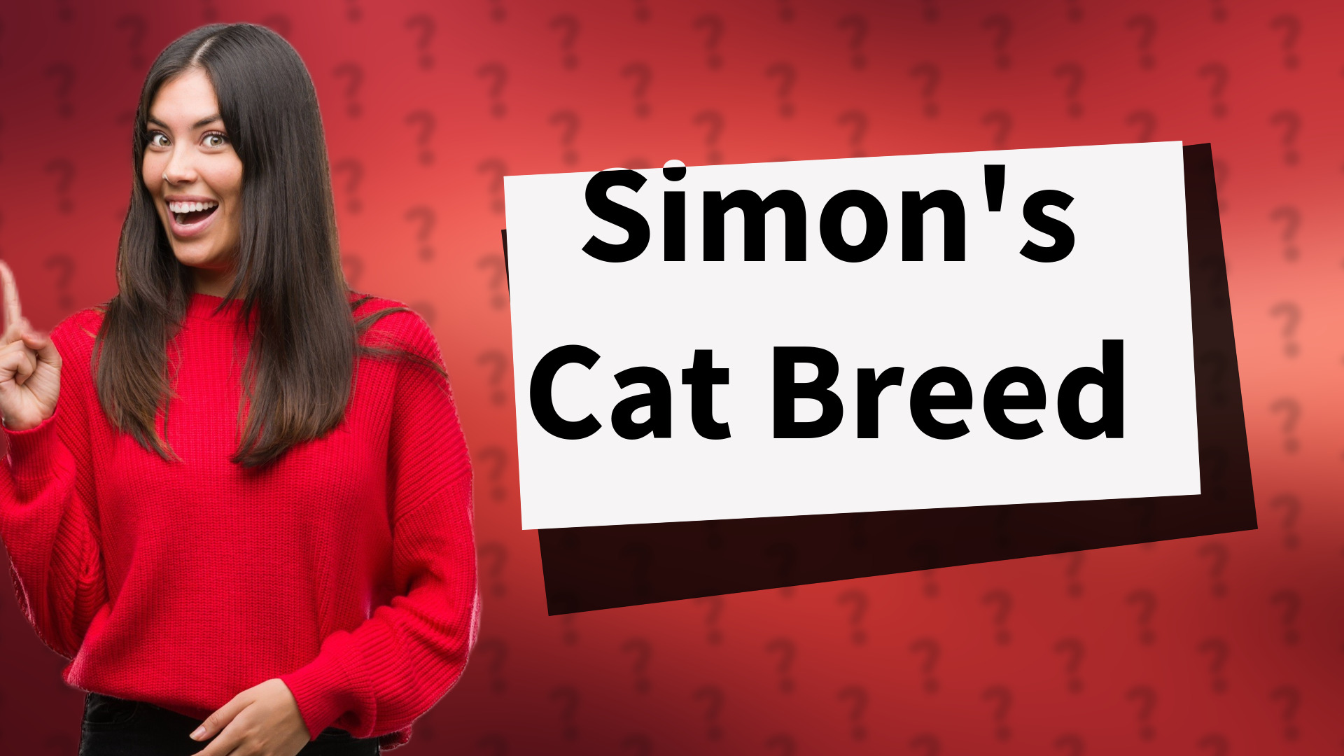 Simon's Cat Breed