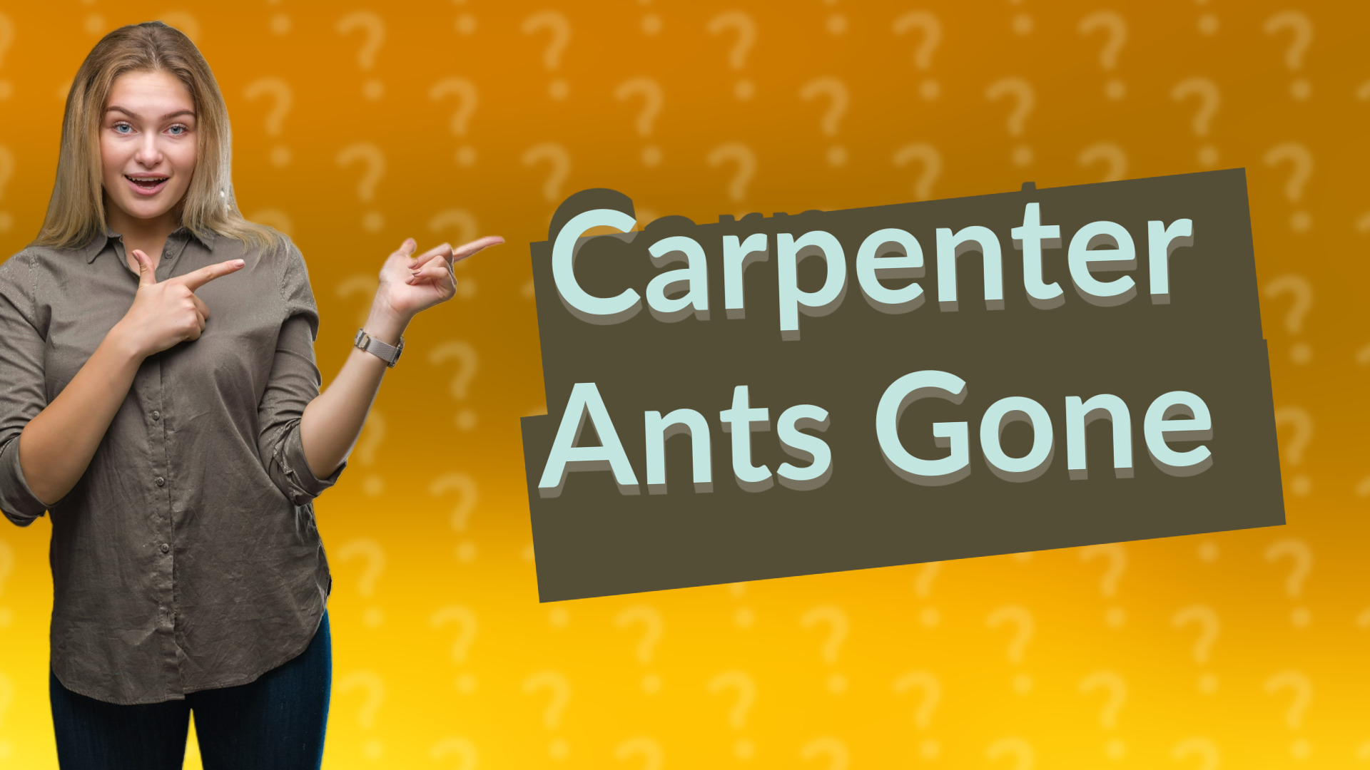 Carpenter Ants Gone