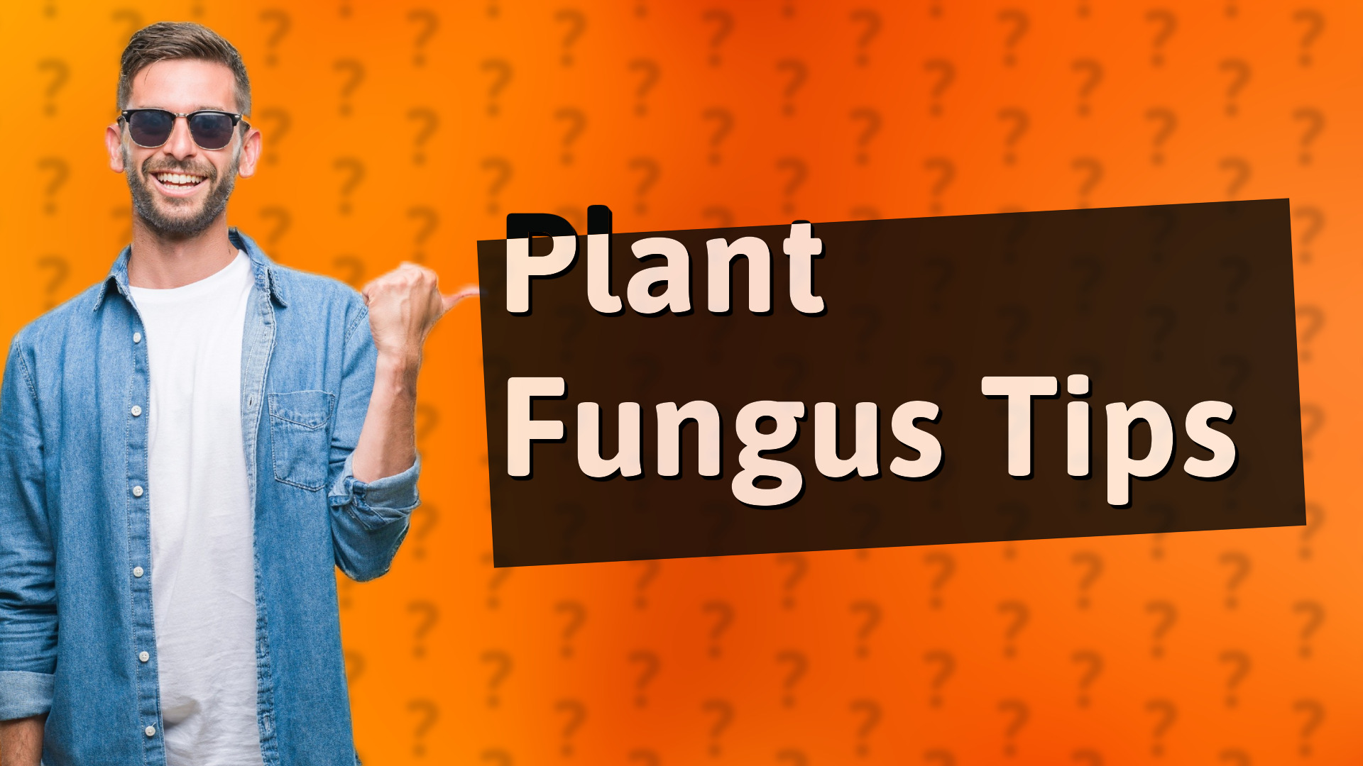 Plant Fungus Tips