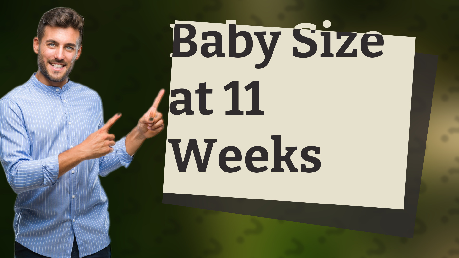 Baby Size at 11 Weeks