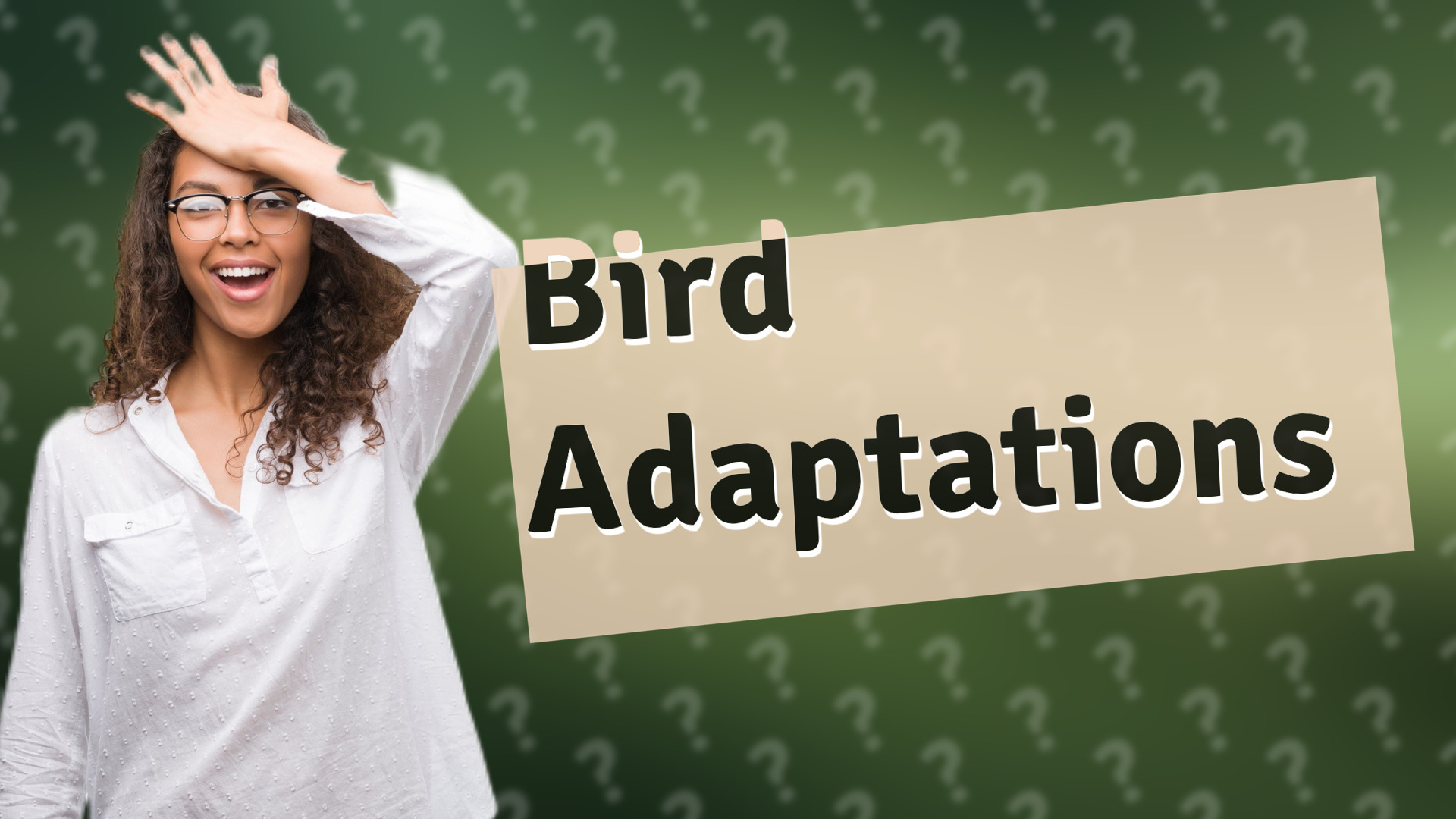 Bird Adaptations