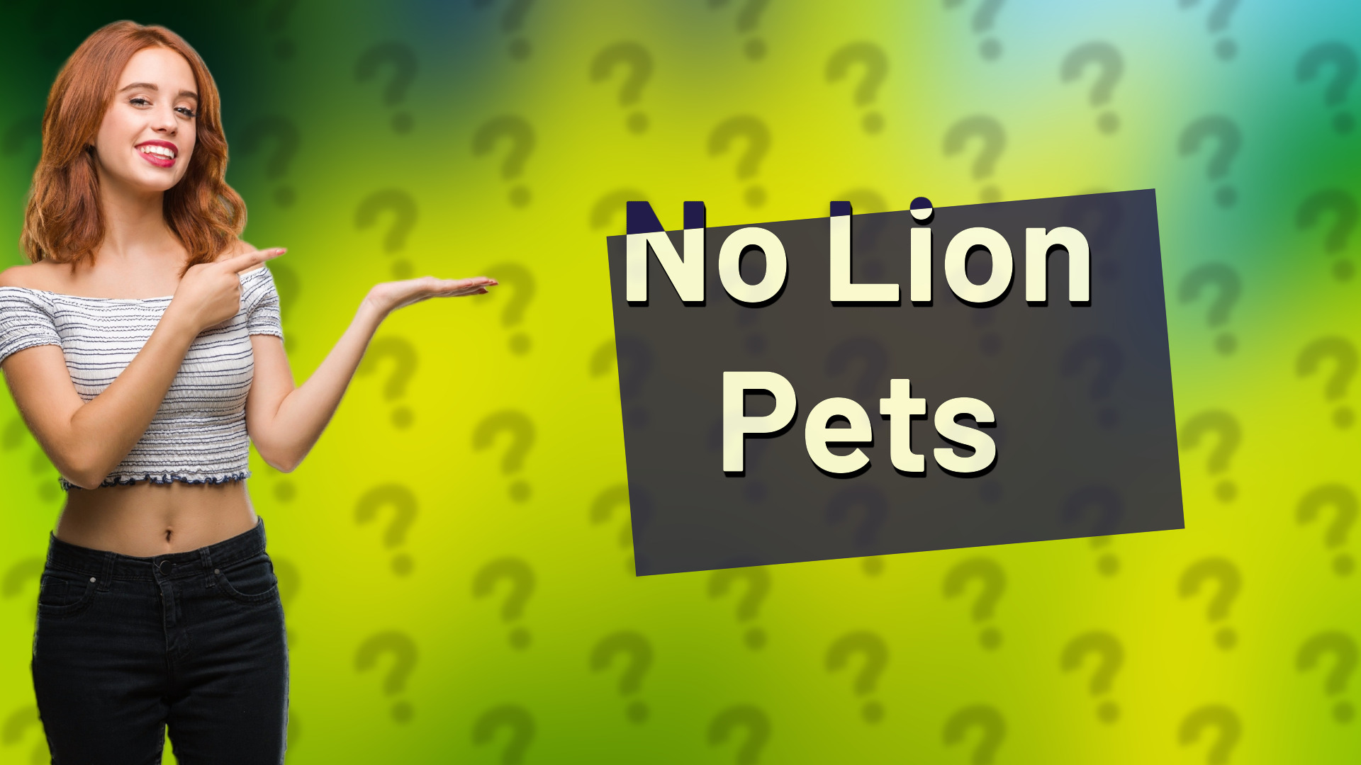 No Lion Pets