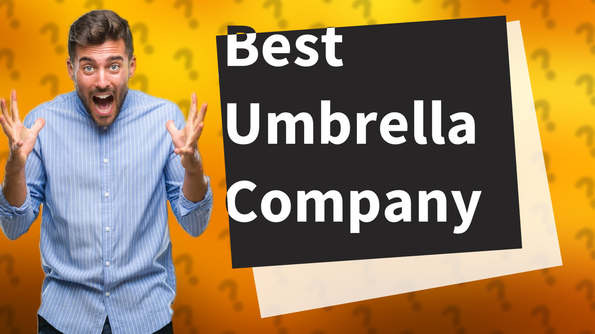 Best Umbrella Company