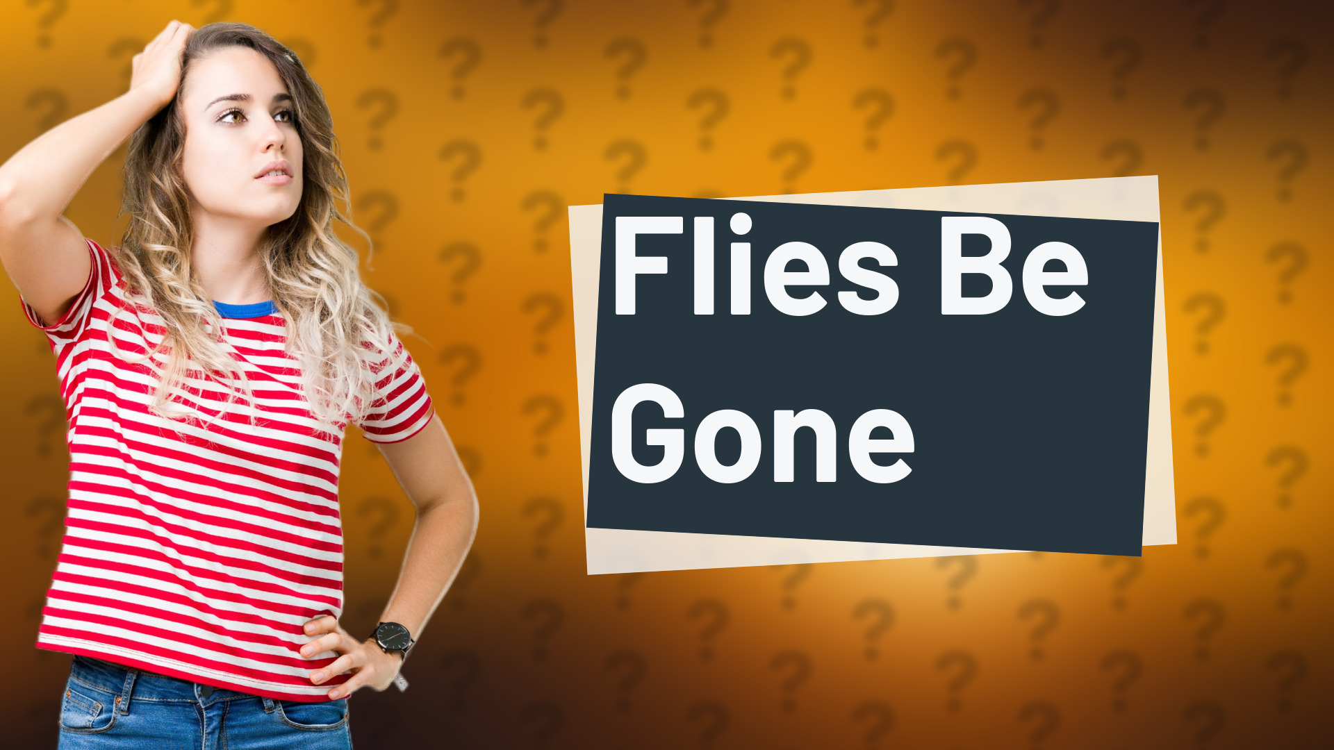 Flies Be Gone