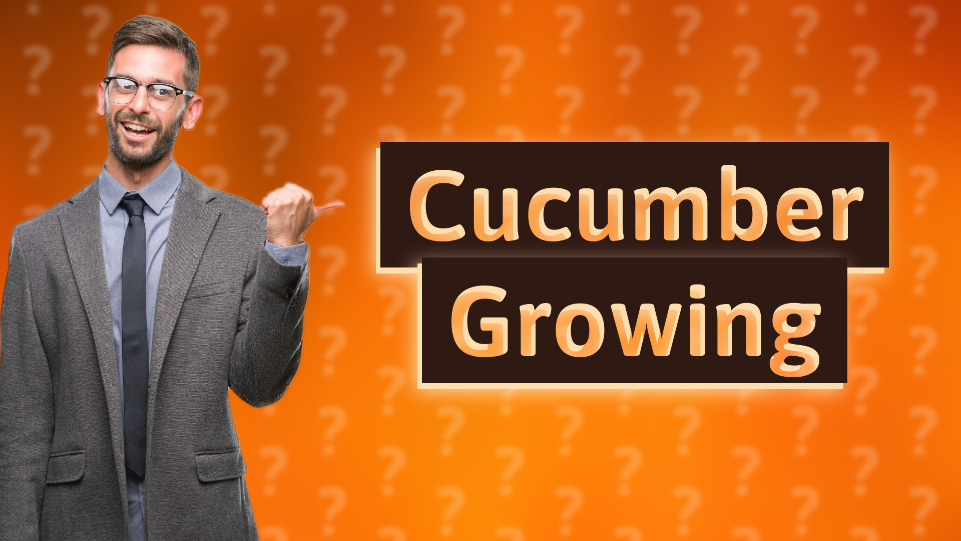 Cucumber Growing