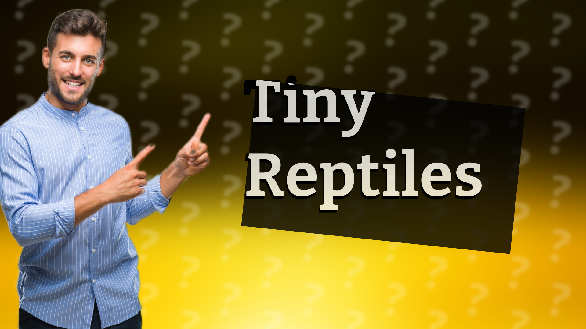 Tiny Reptiles